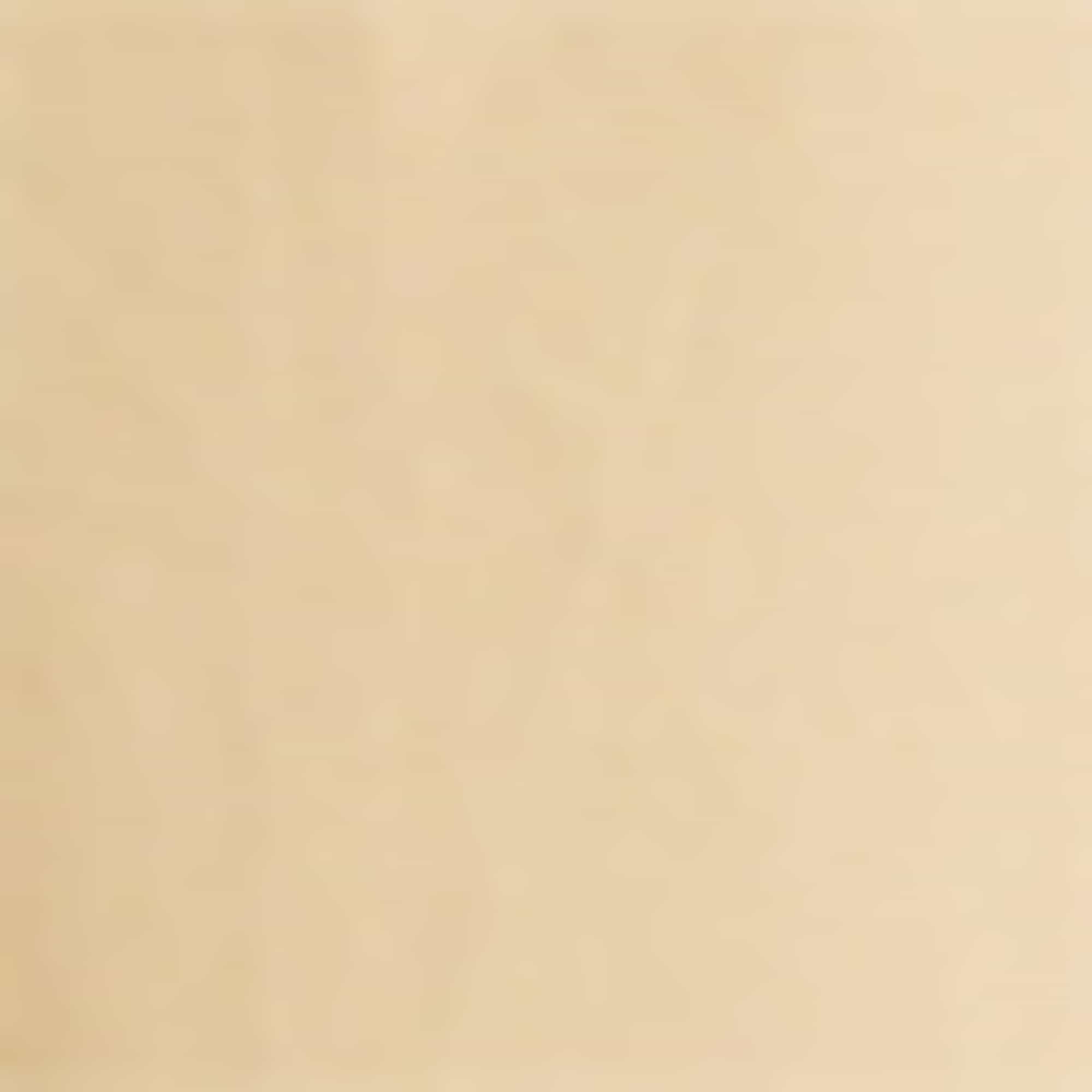 Skirt light brown