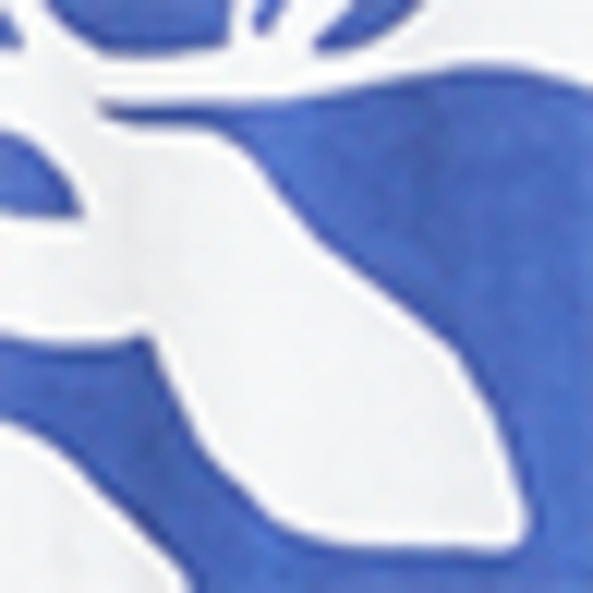 Skirt - patterned white / blue
