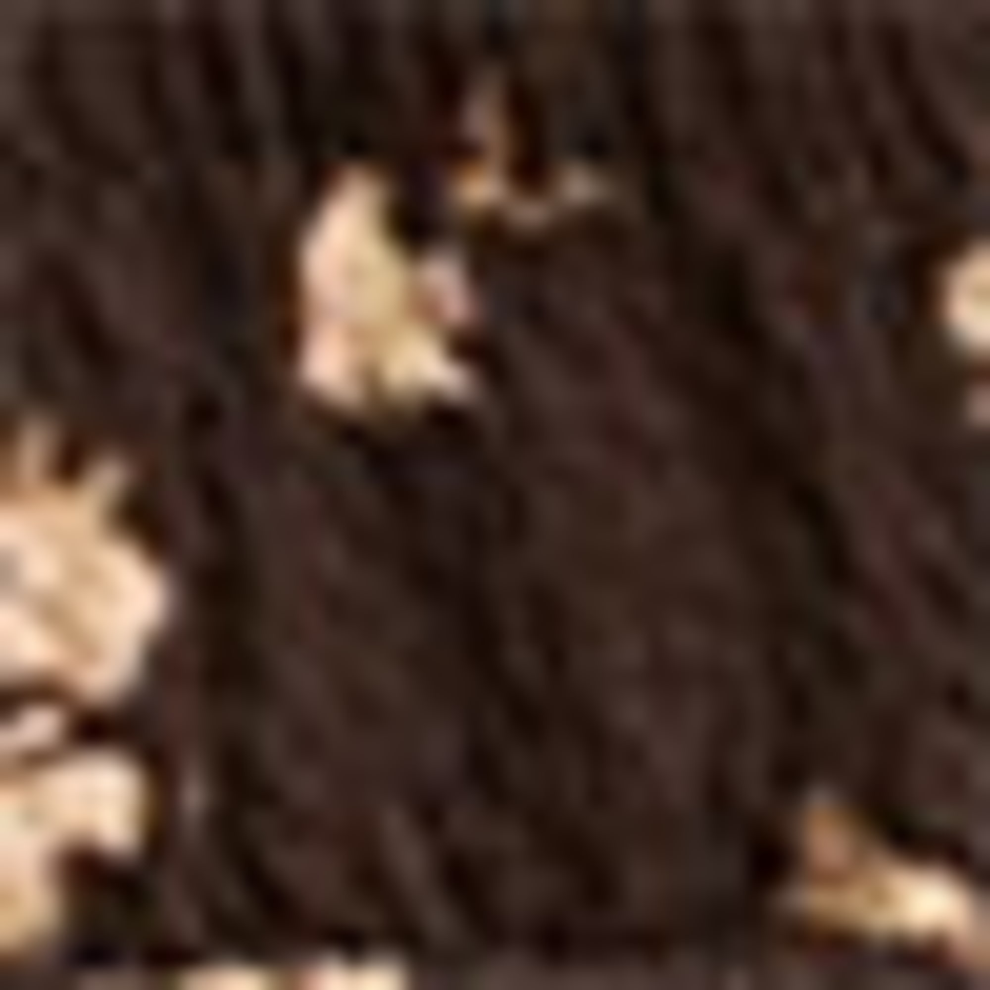 Dress - floral brown