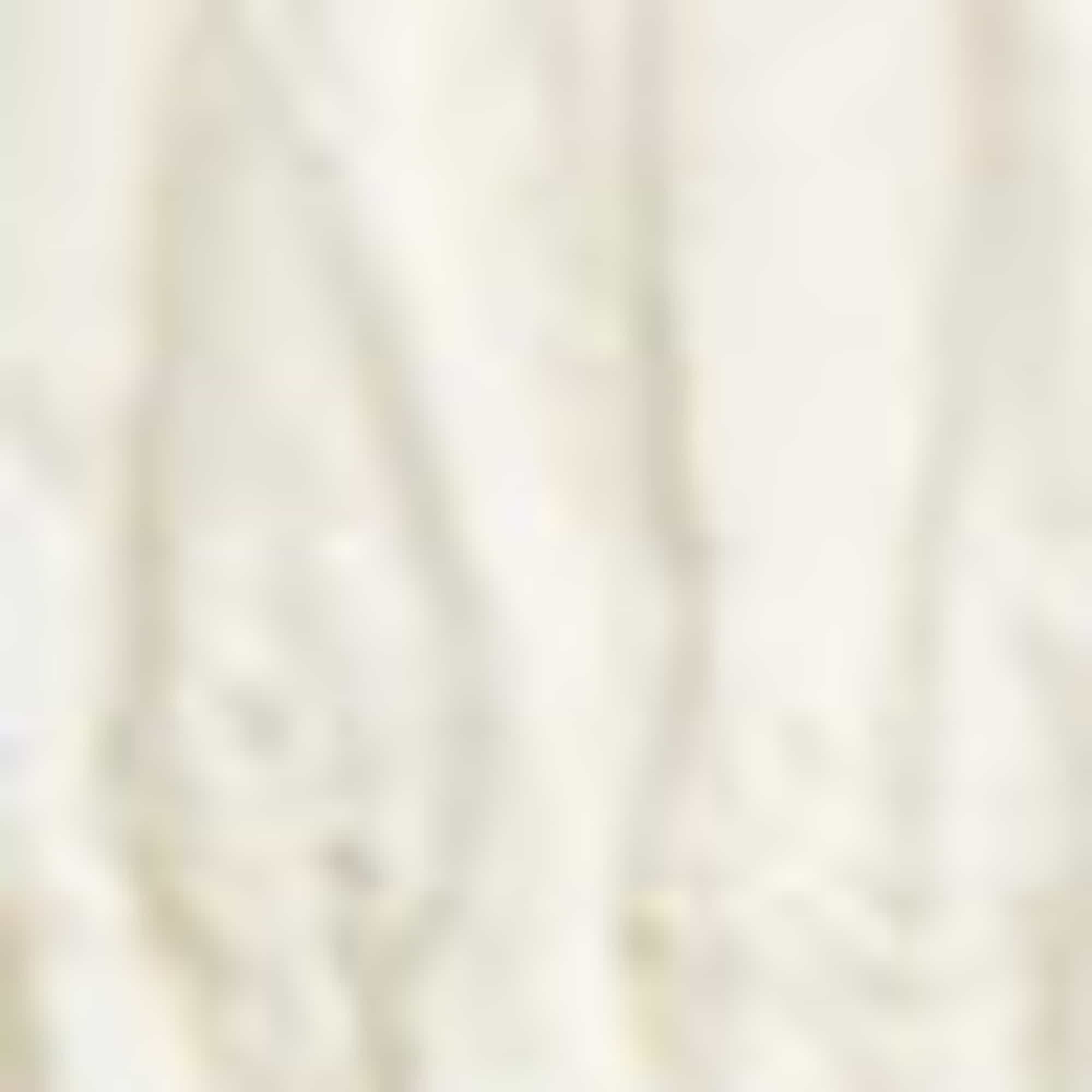 Dress - broderie anglaise cremewhite