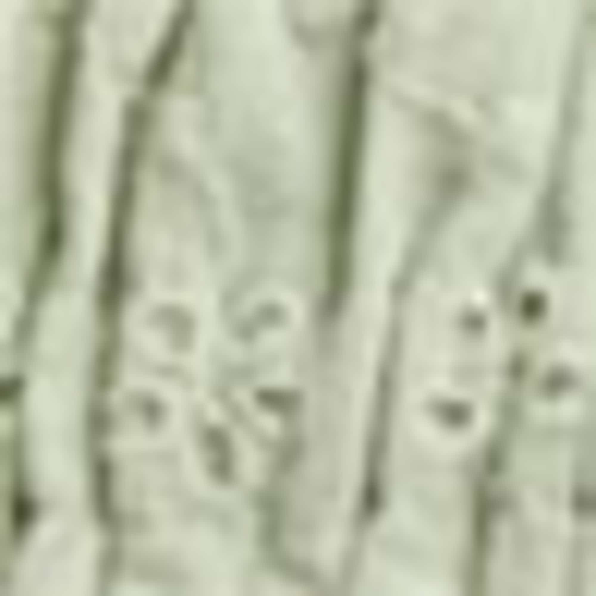 Dress - broderie anglaise light green