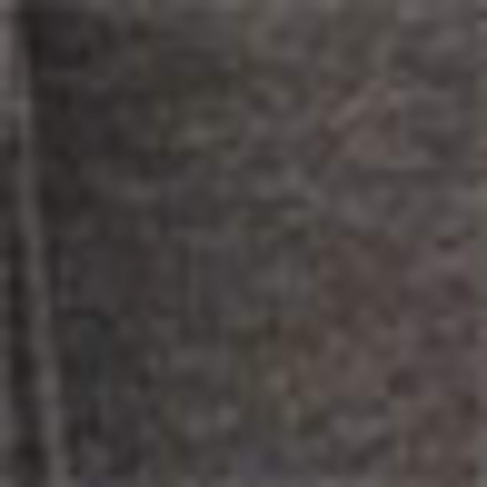 Cargo joggers anthracite
