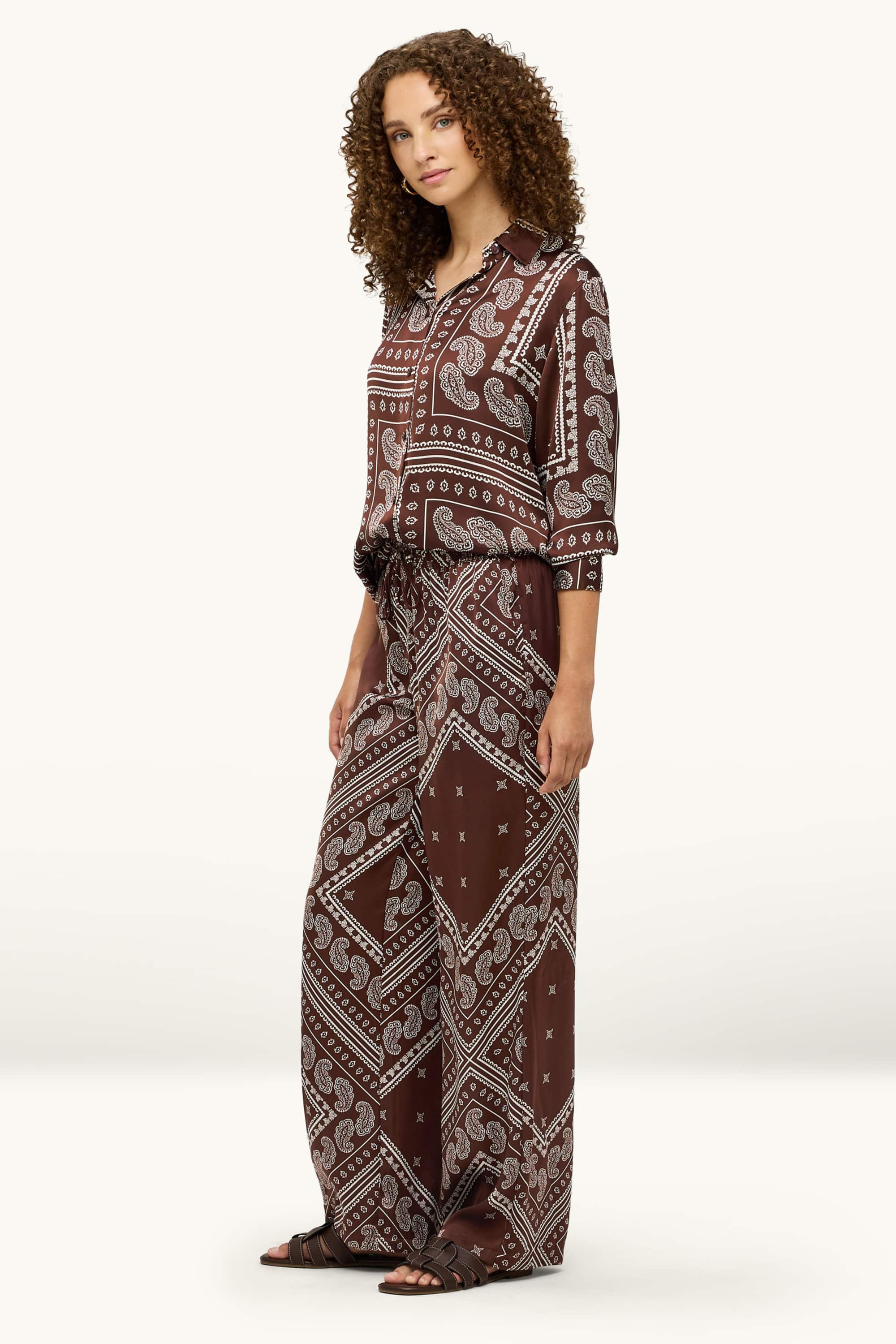 Cloth trousers - mid-rise waist - wide leg - patterned brown
