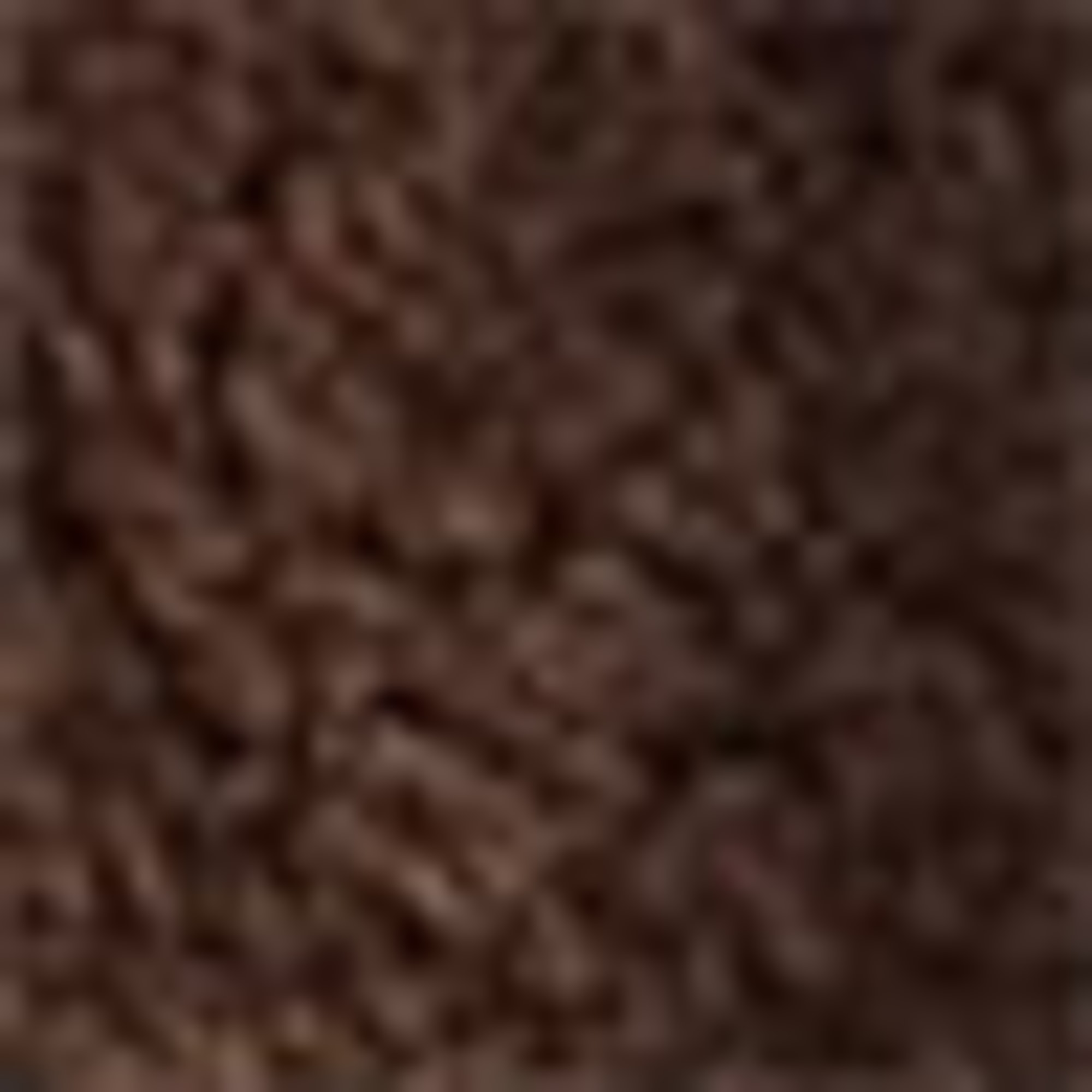 Teddy fur jacket brown