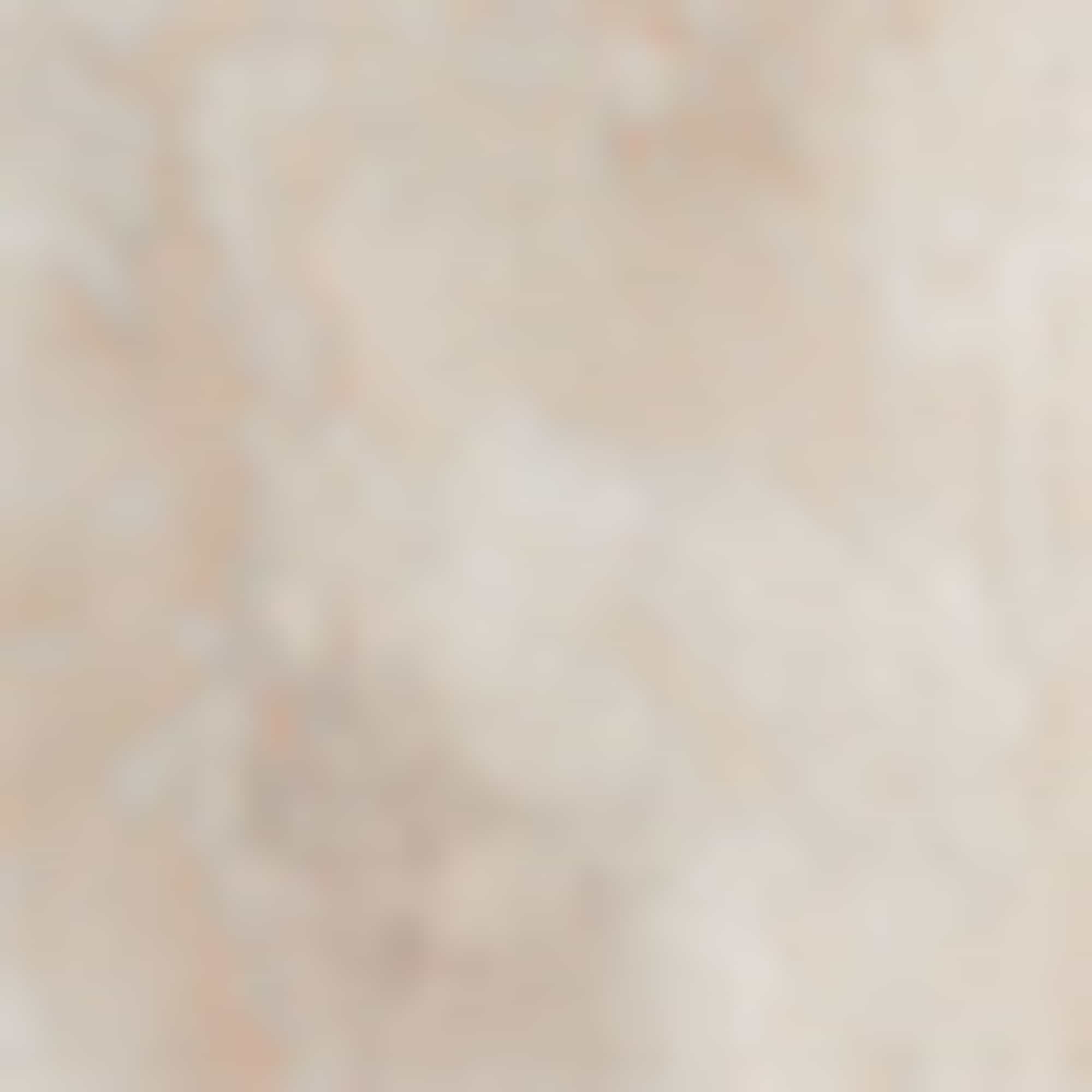 Mesh skirt - patterned beige