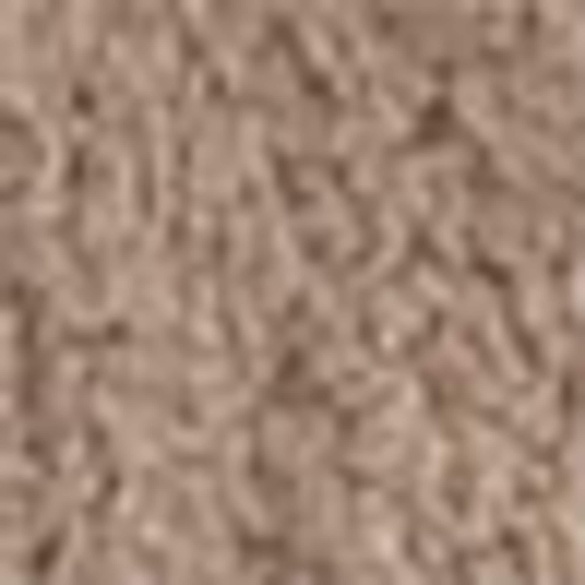 Teddy fur jacket with hood light brown