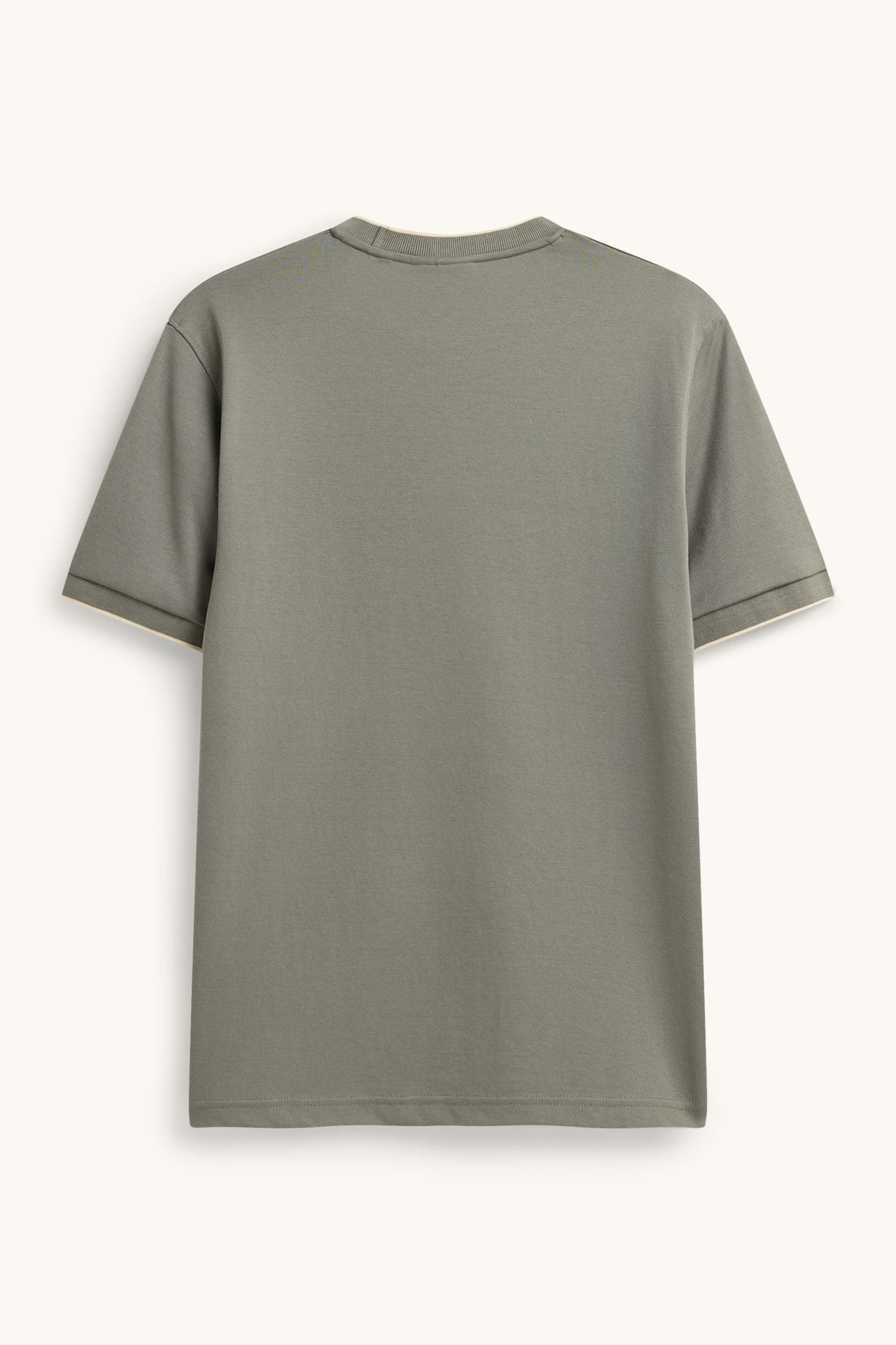 T-shirt - regular fit gray