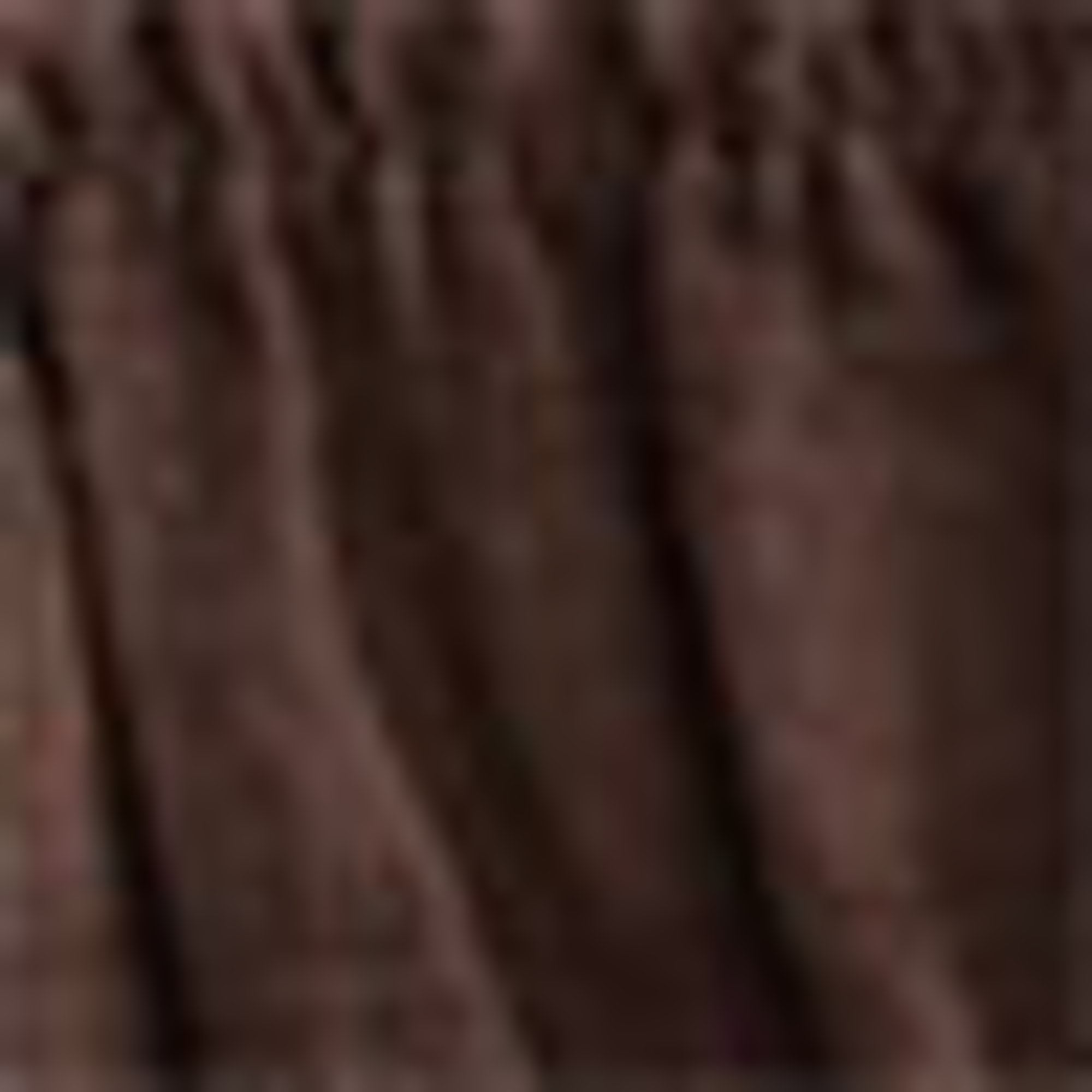 Blouse top - smocked brown