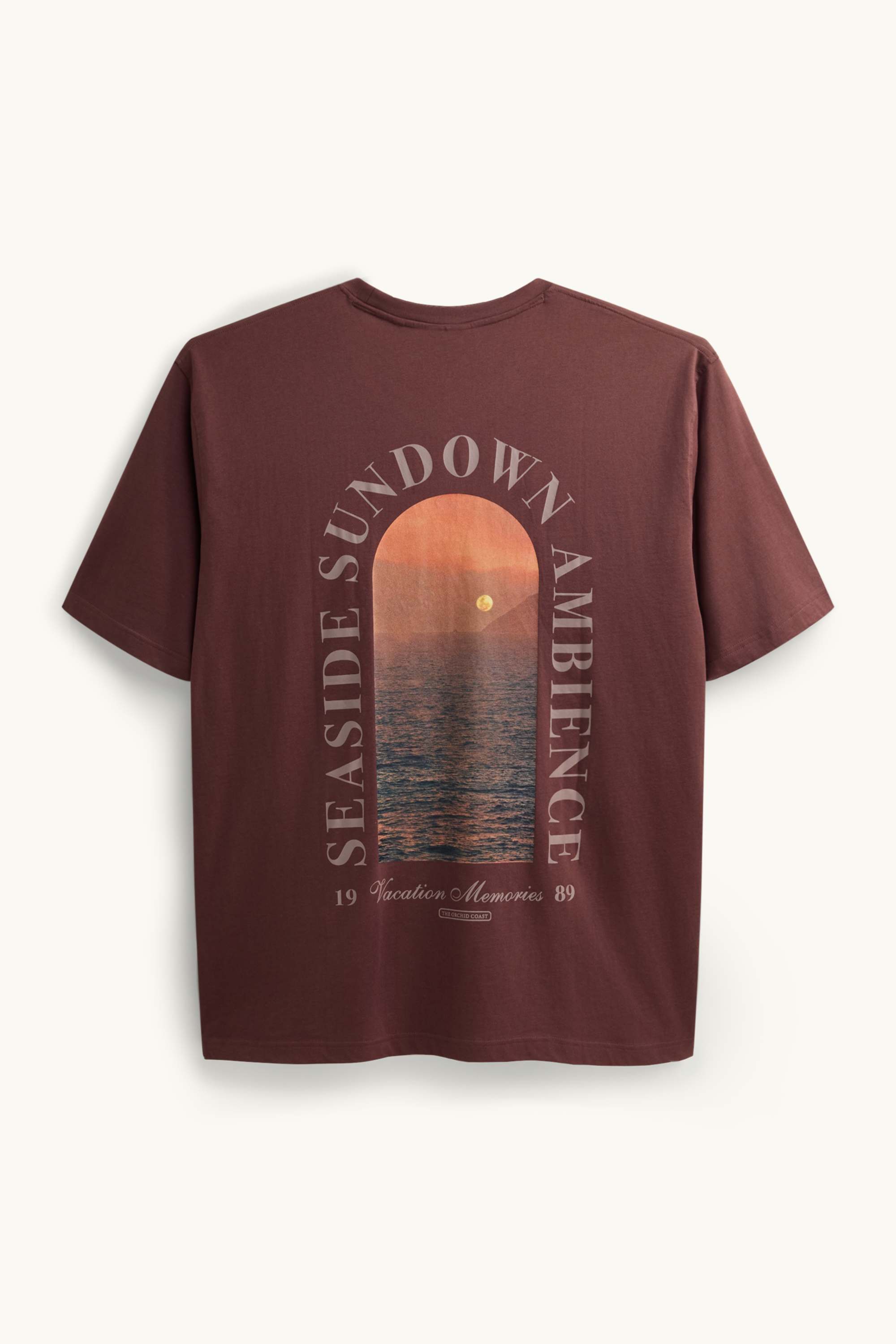 T-shirt - relaxed fit brown
