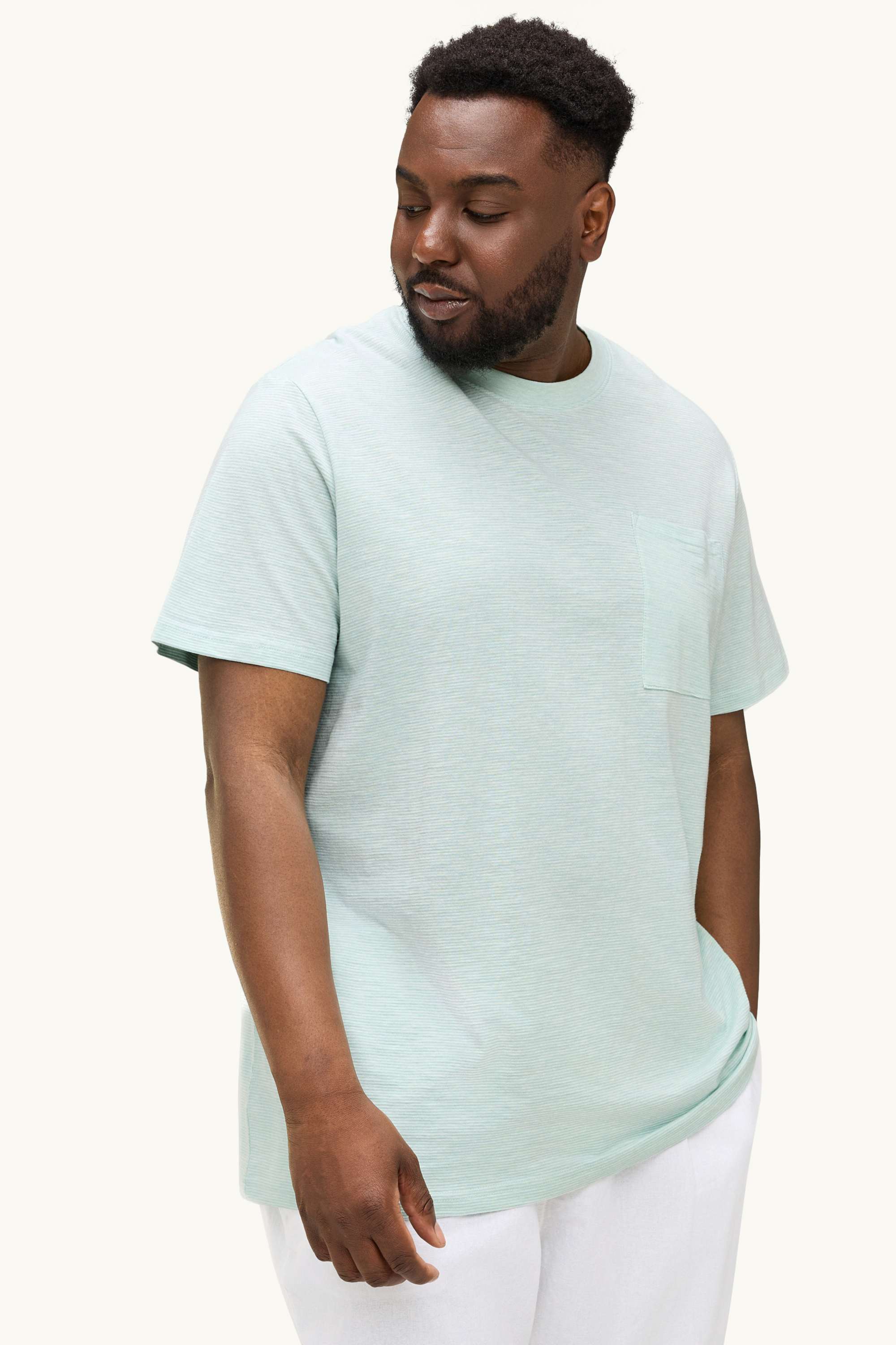 T-shirt - regular fit - striped mint green