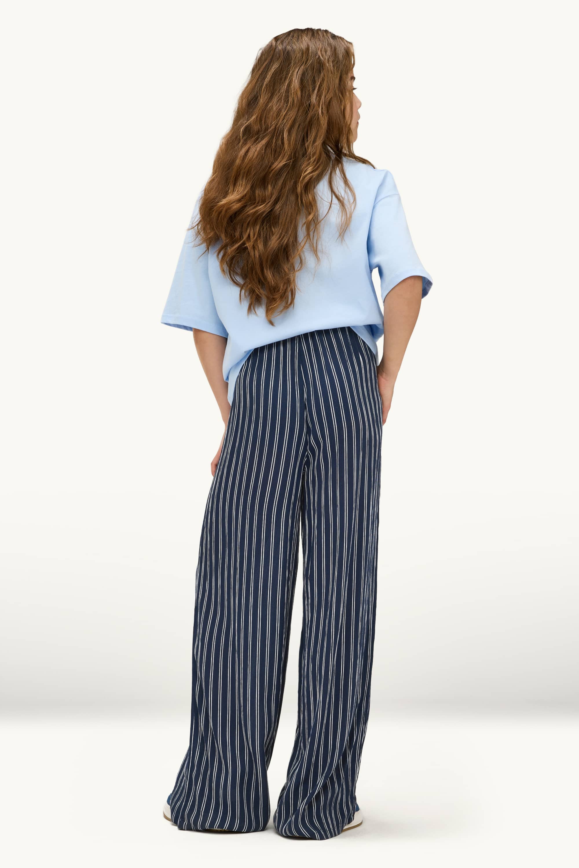 Cloth trousers - striped dark blue