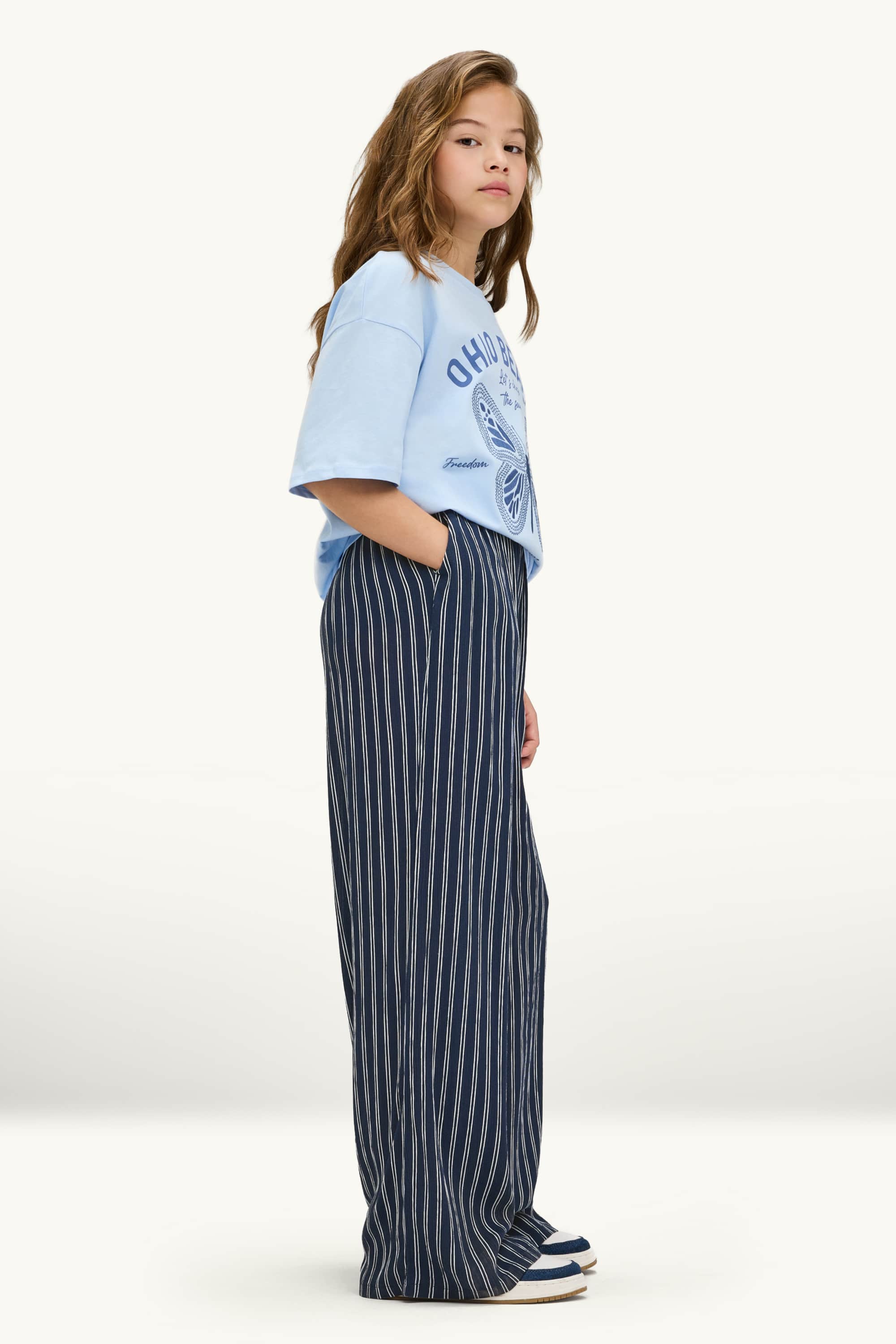 Cloth trousers - striped dark blue