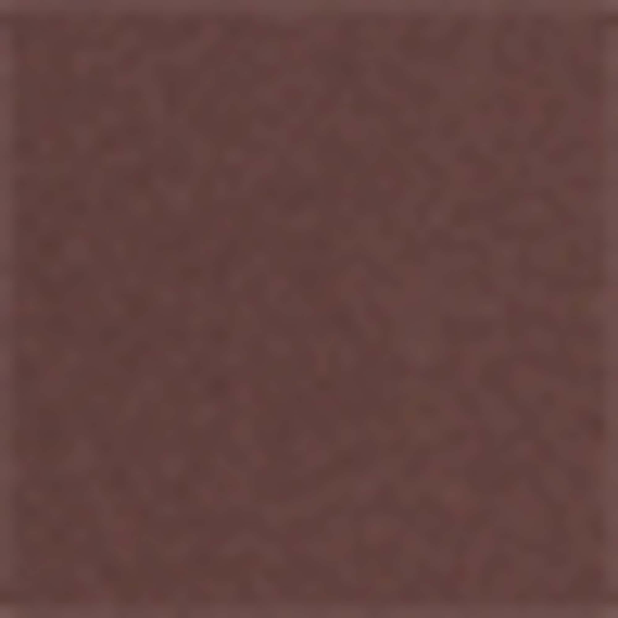 Multipack of 2 - short sleeve T-shirt brown