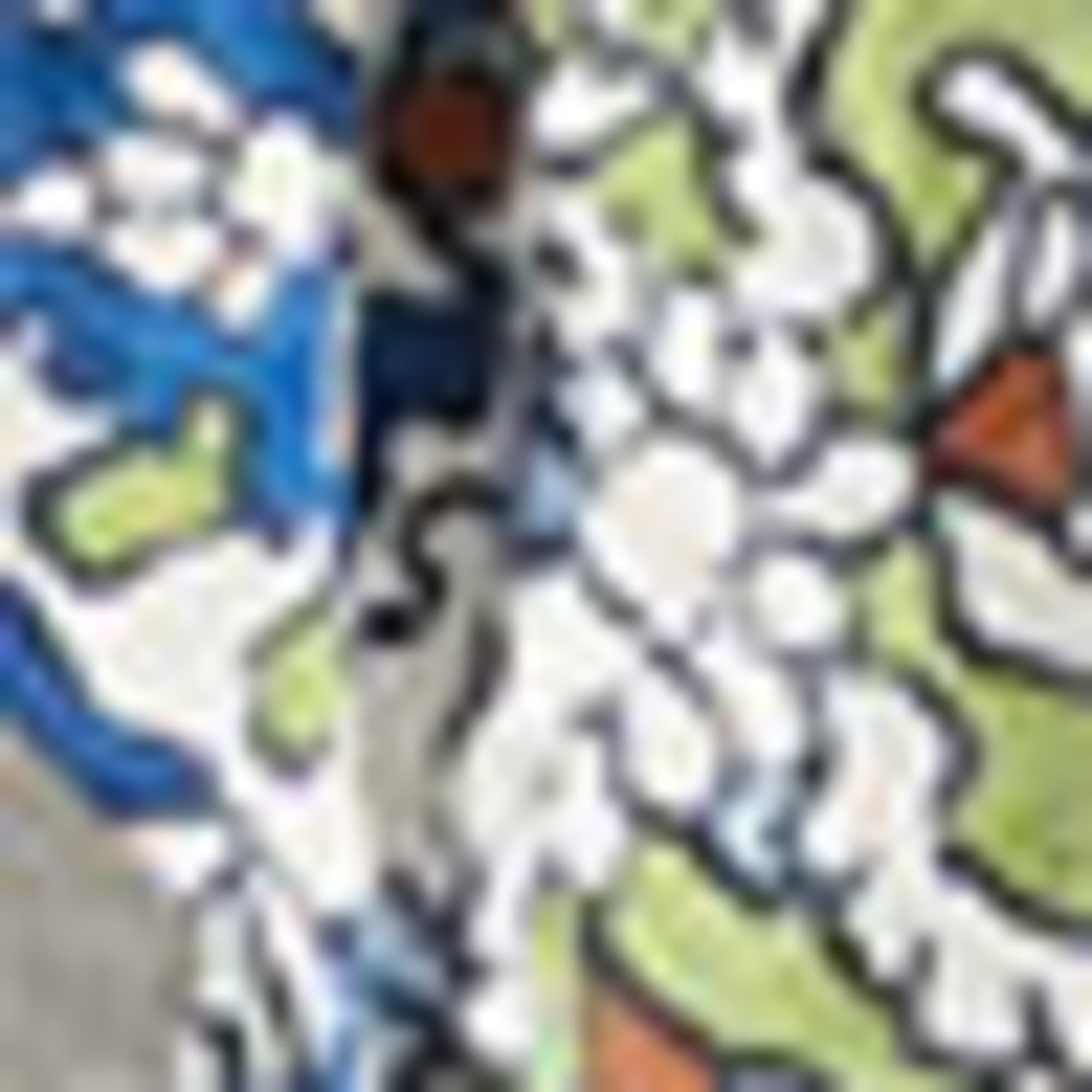Blouse top - patterned white / blue