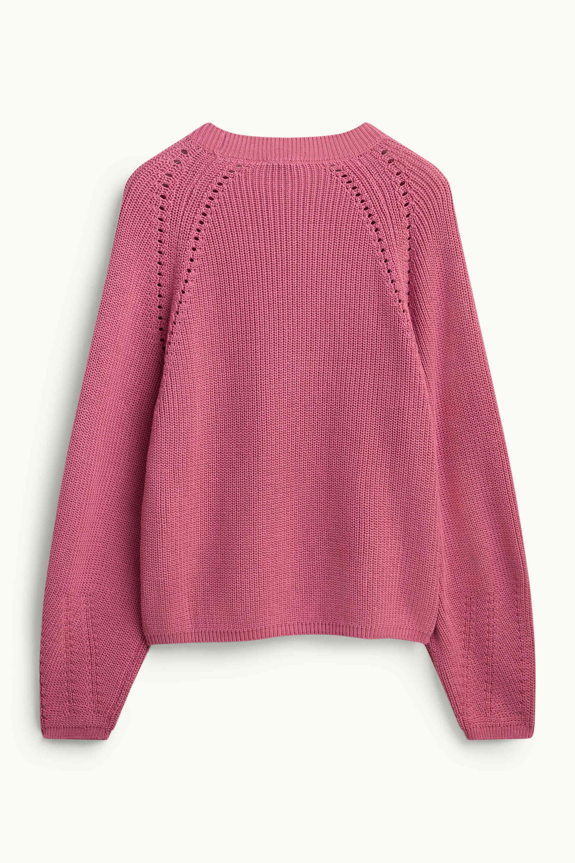 Jumper rose