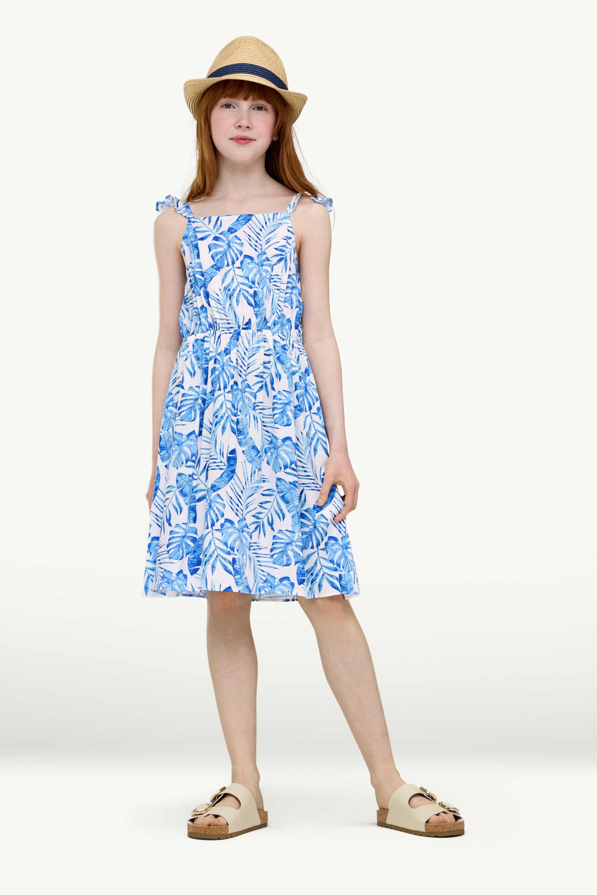 Plant - dress blue