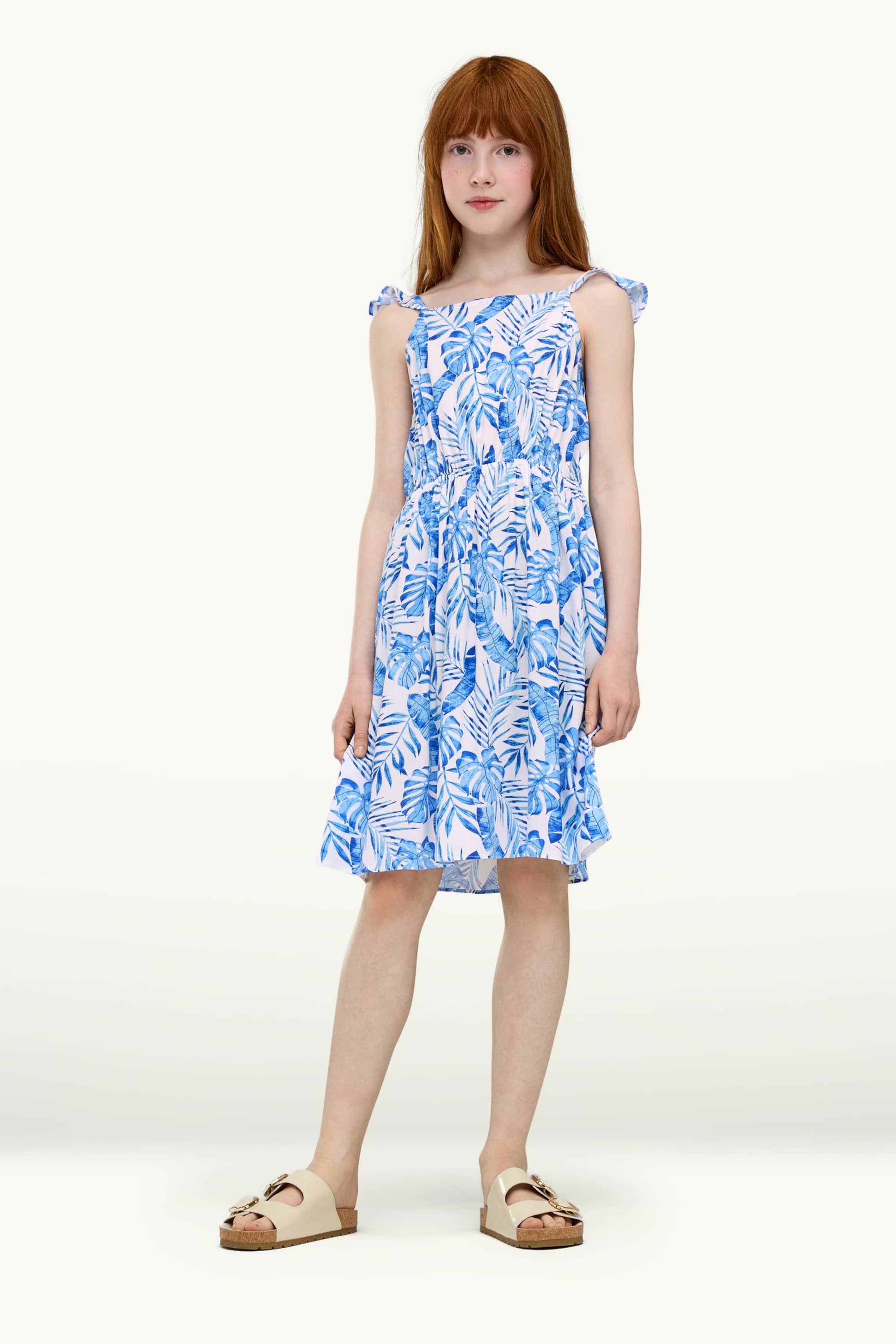 Plant - dress blue