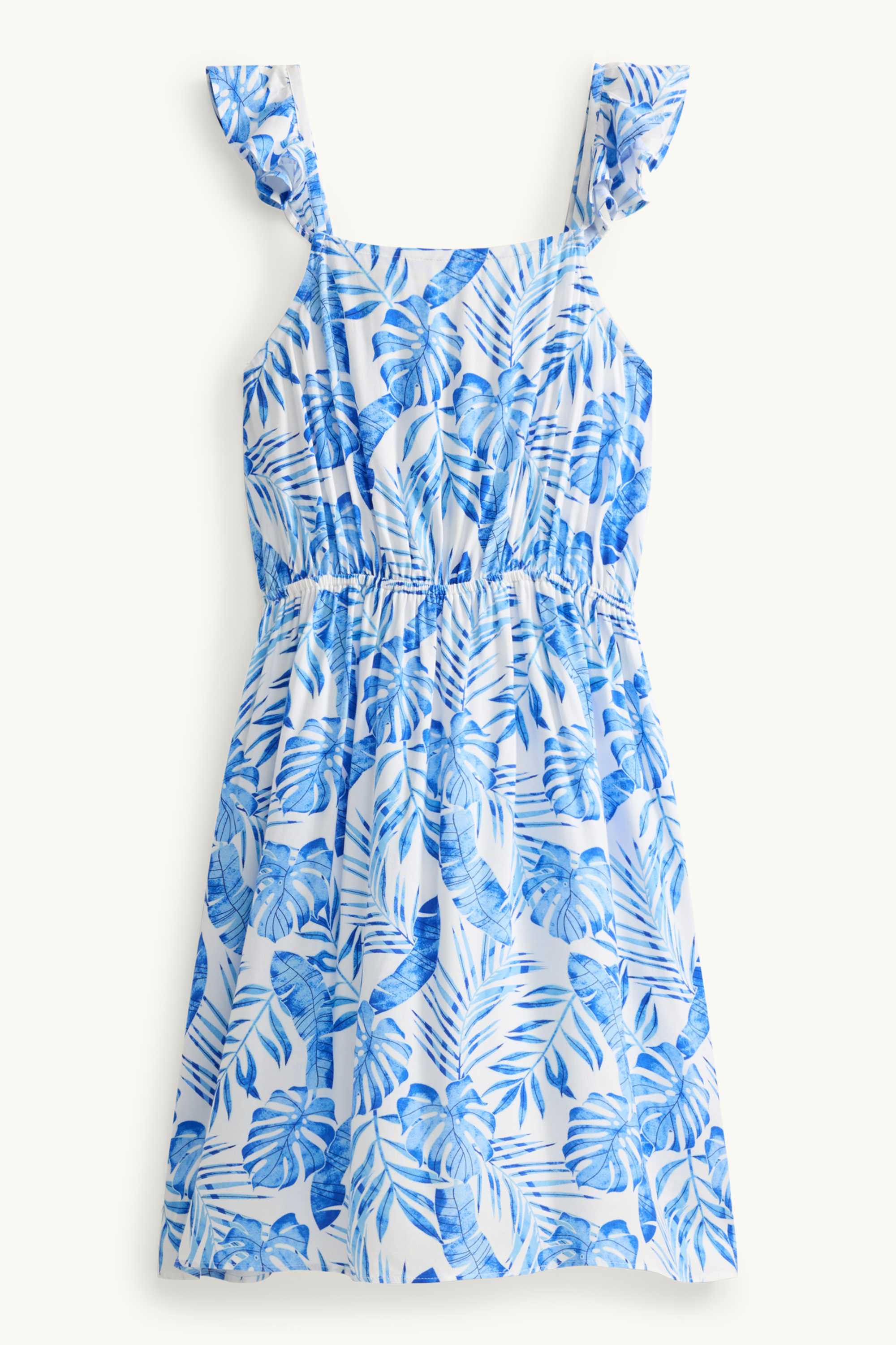 Plant - dress blue