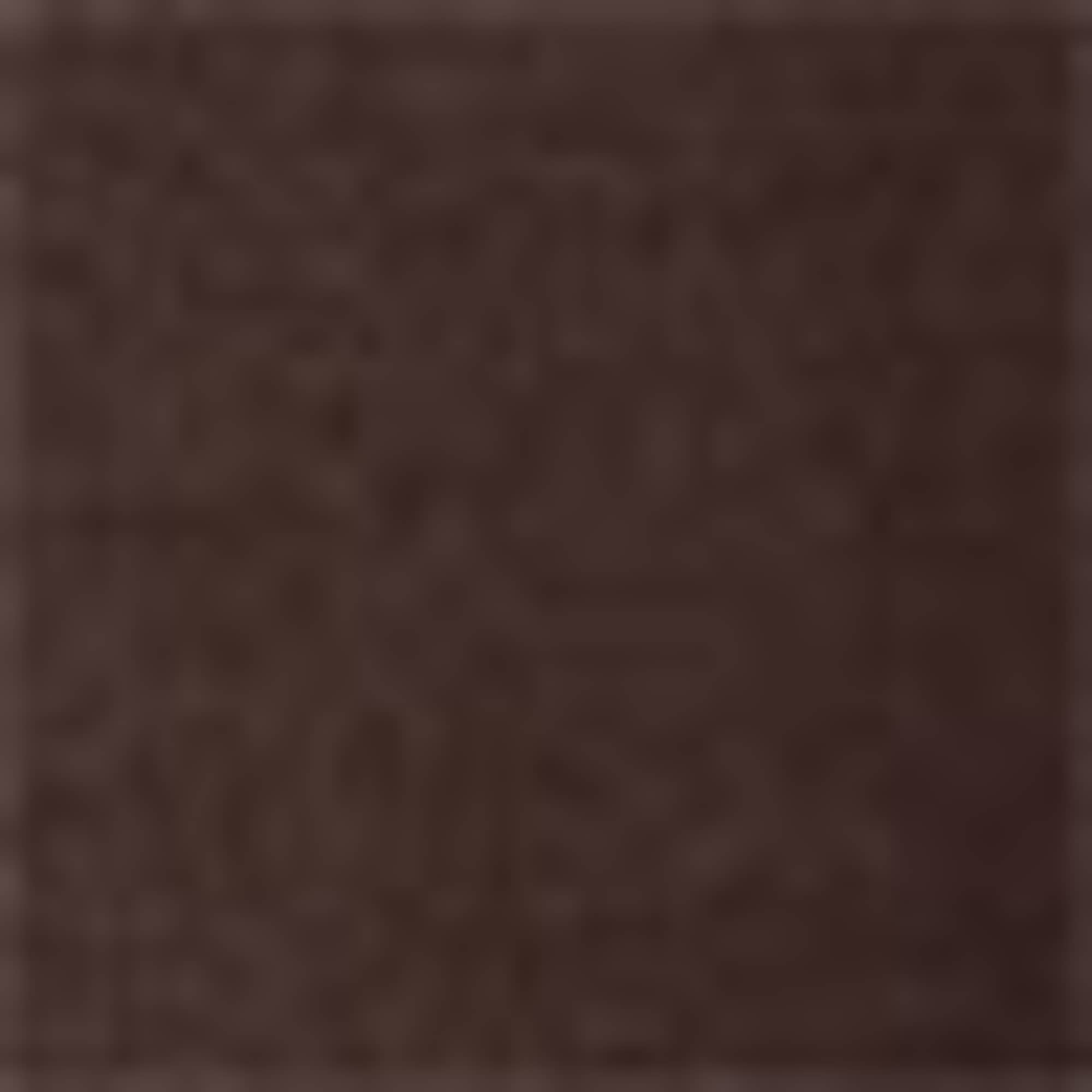 Long sleeve top- regular fit dark brown