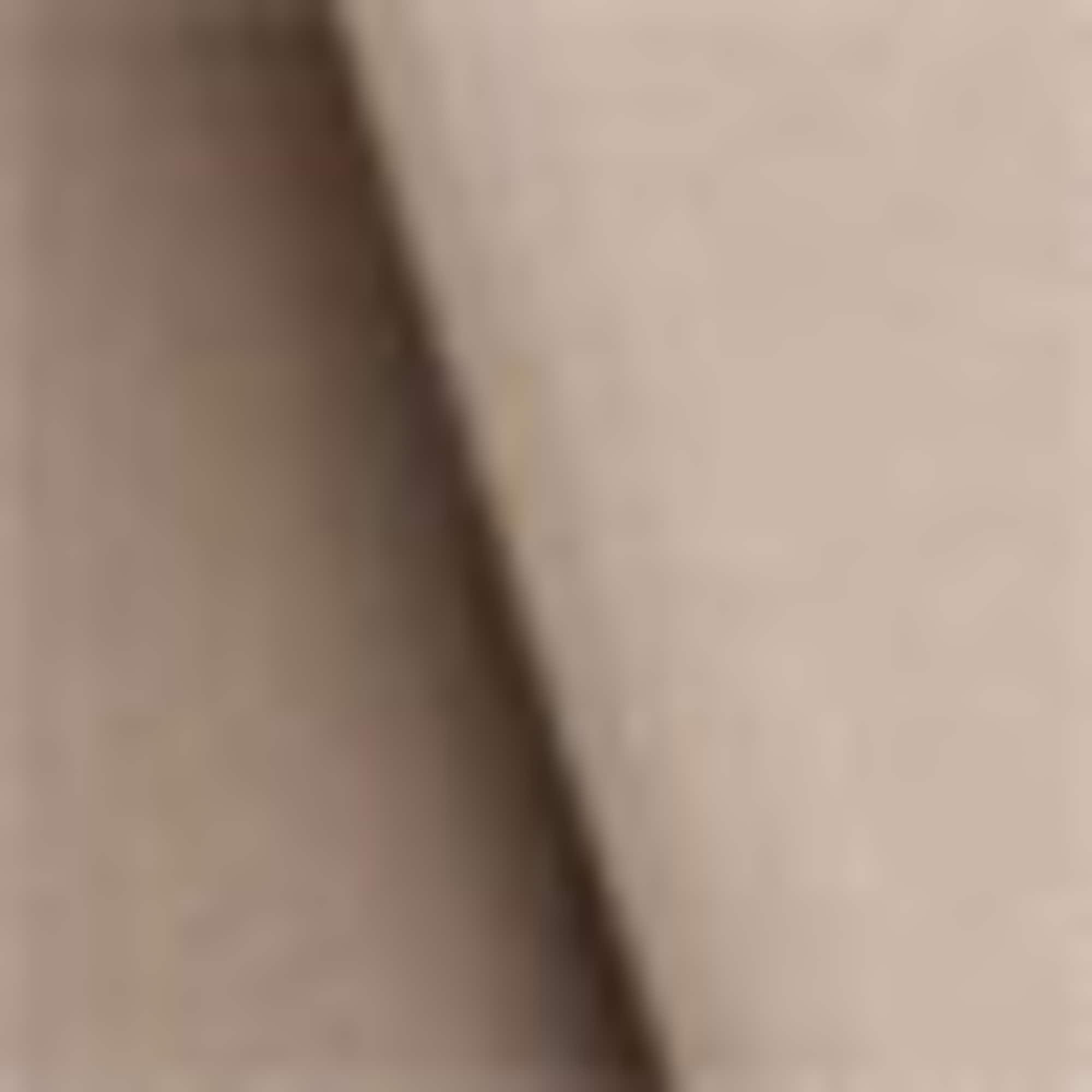 Business blazer - regular fit beige (3)