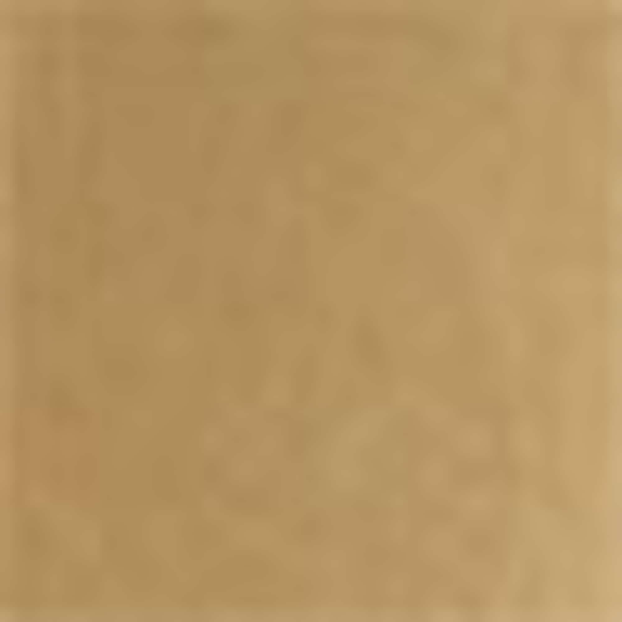 Shirt blouse beige