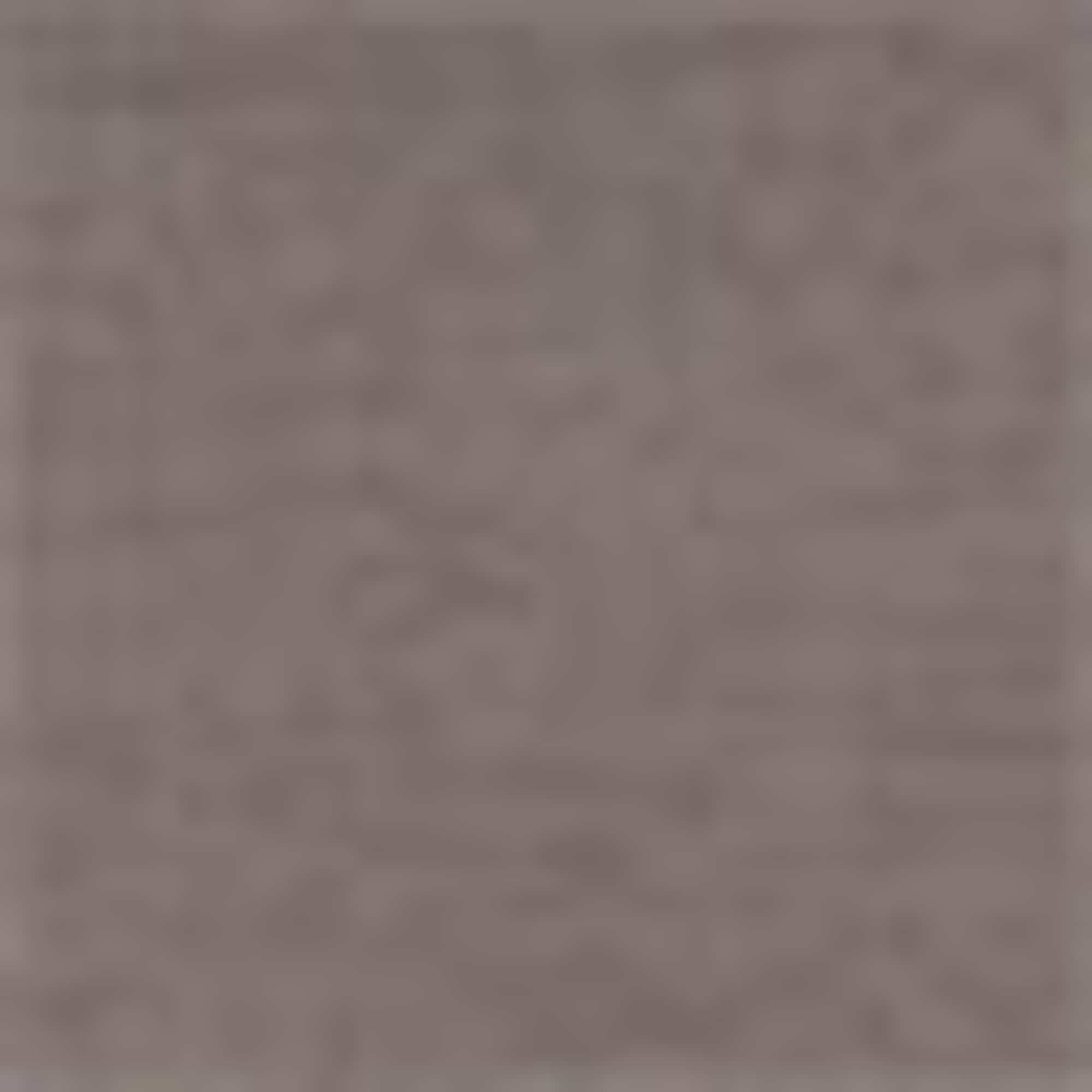 Sweatshirt brown