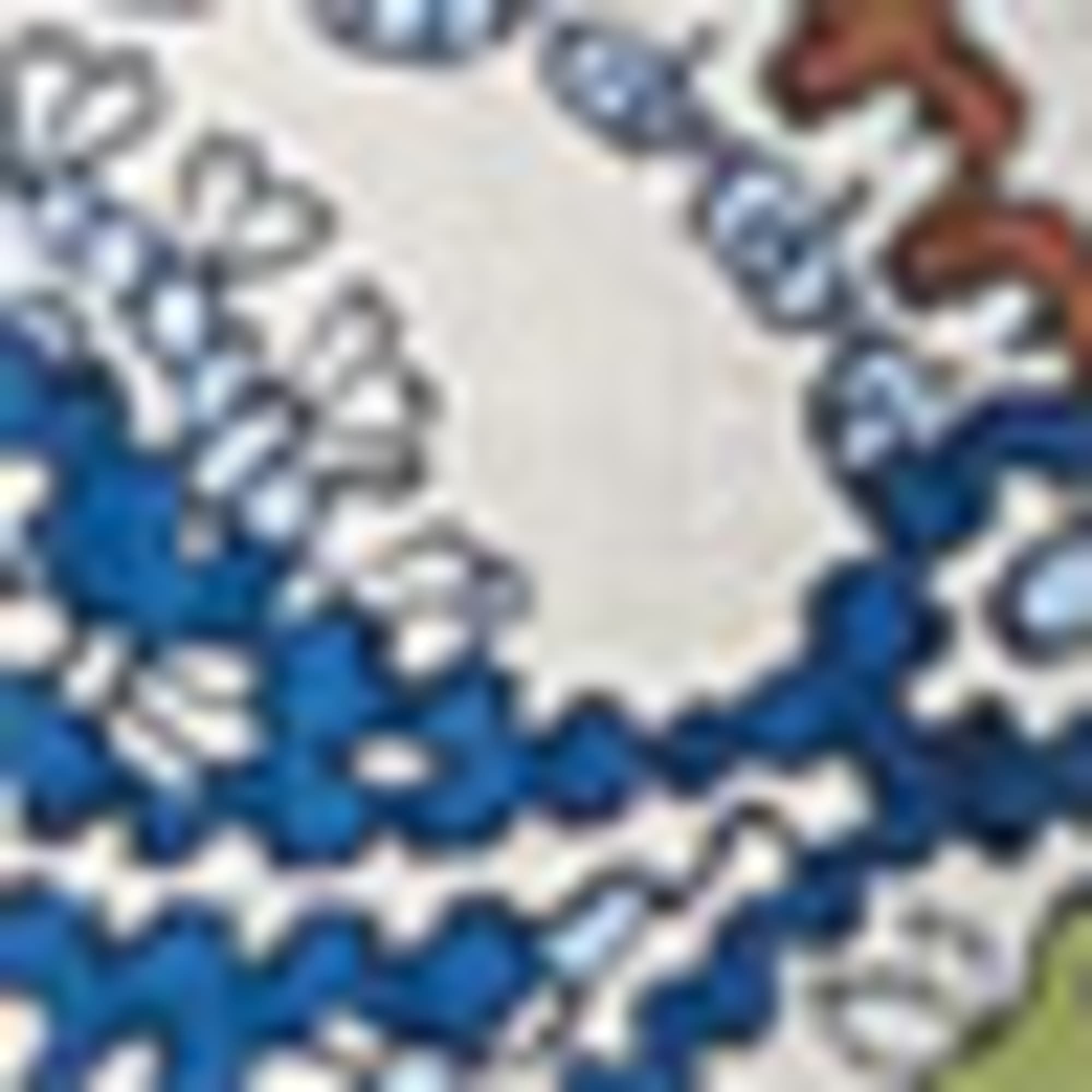Blouse - patterned blue / white