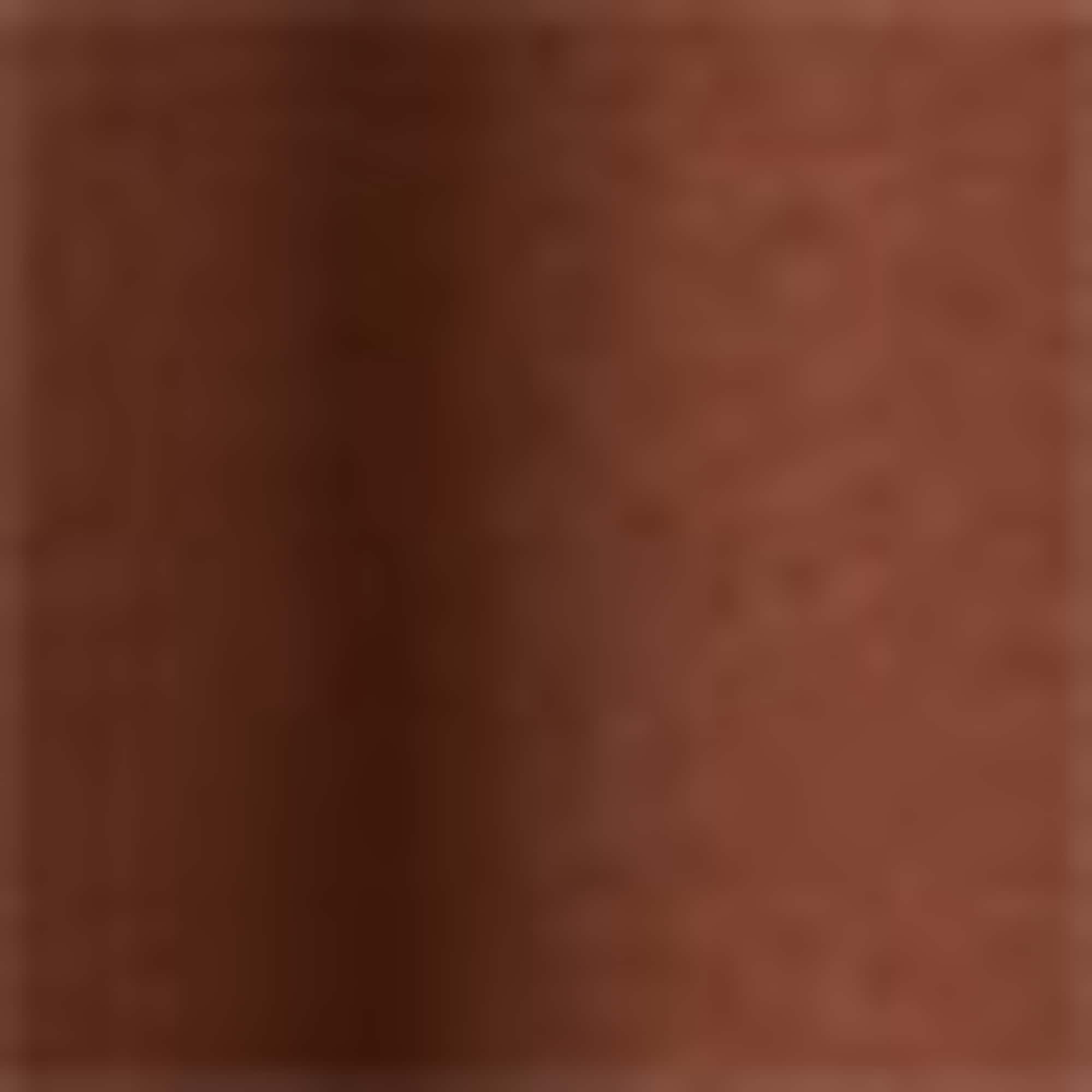 V-neck T-shirt - relaxed fit rust