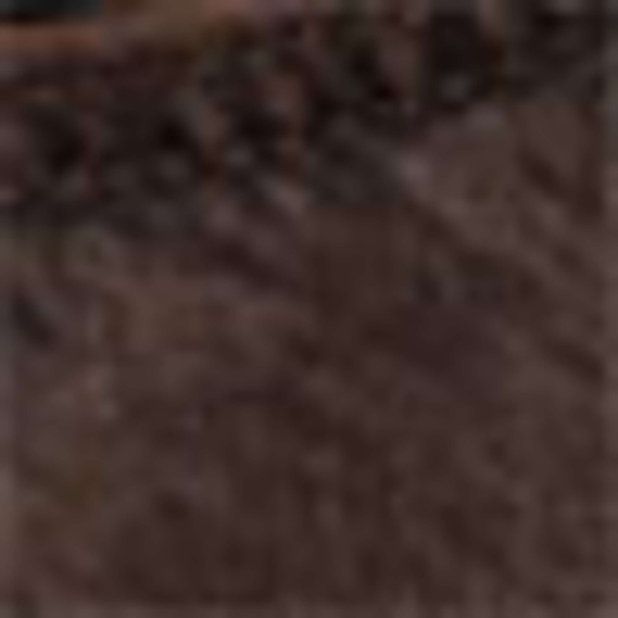 Denim miniskirt - leopard print brown