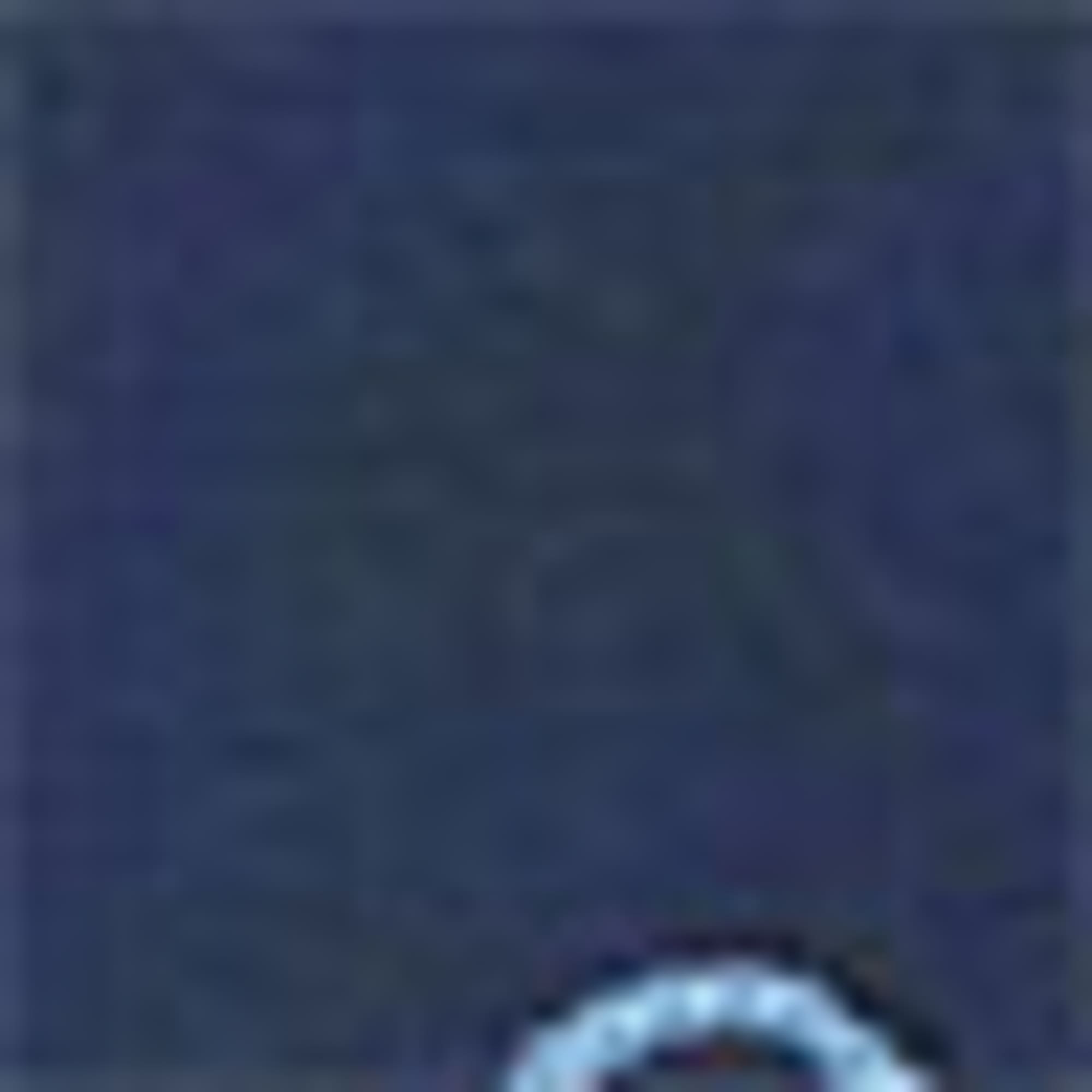 Sweatshirt dark blue