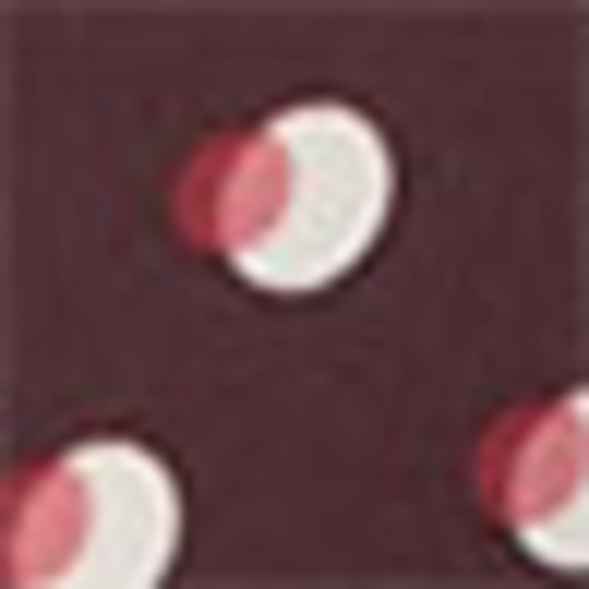 Shirt blouse - polka dot bordeaux / white