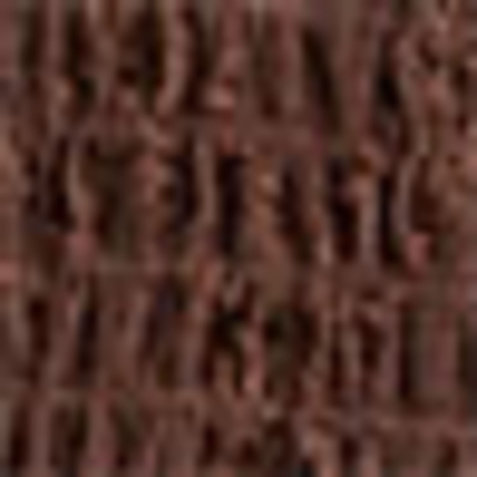 Skirt - broderie anglaise dark brown
