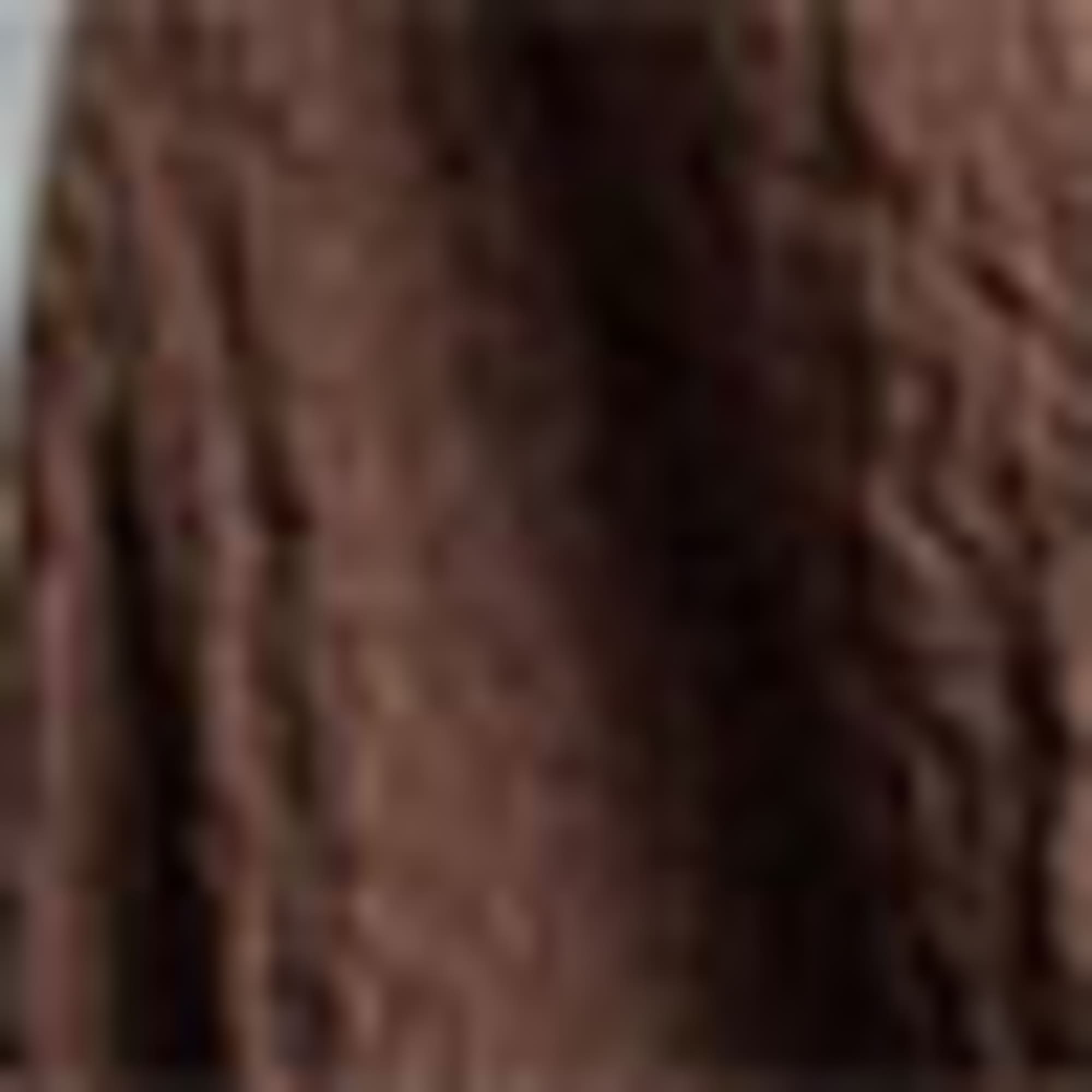 Bodycon dress dark brown
