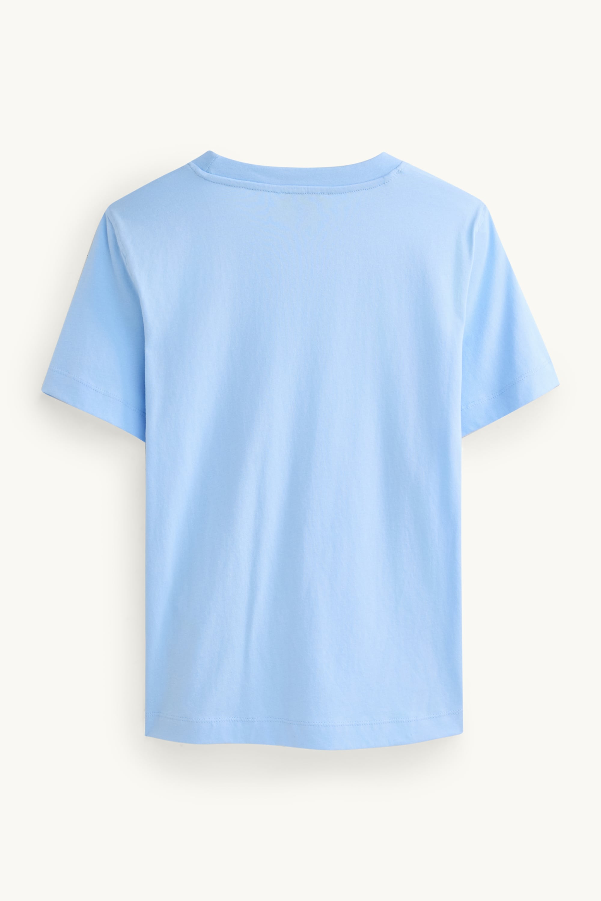 T-shirt - regular fit - embroidered - floral light blue
