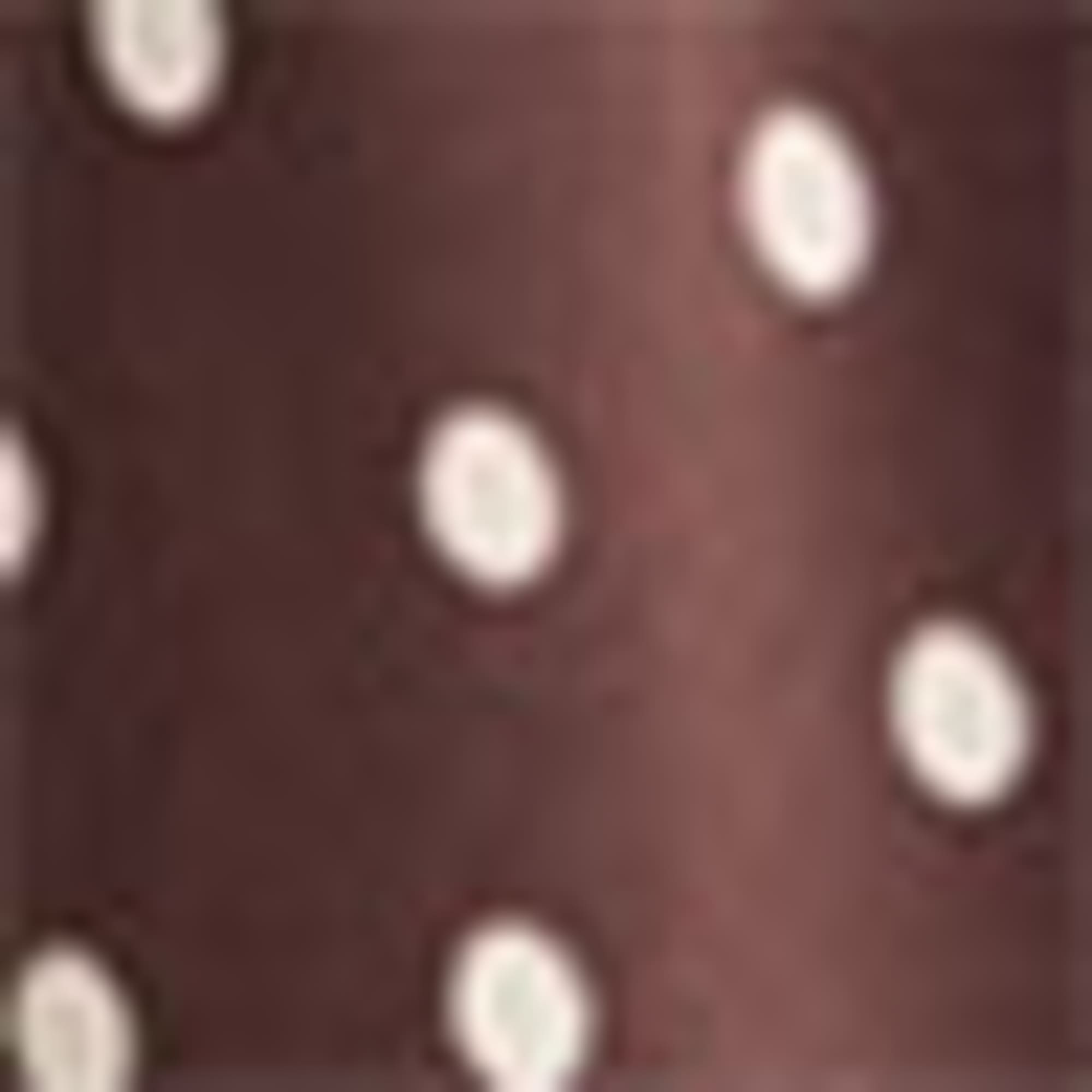 Fit & flare dress - polka dot brown