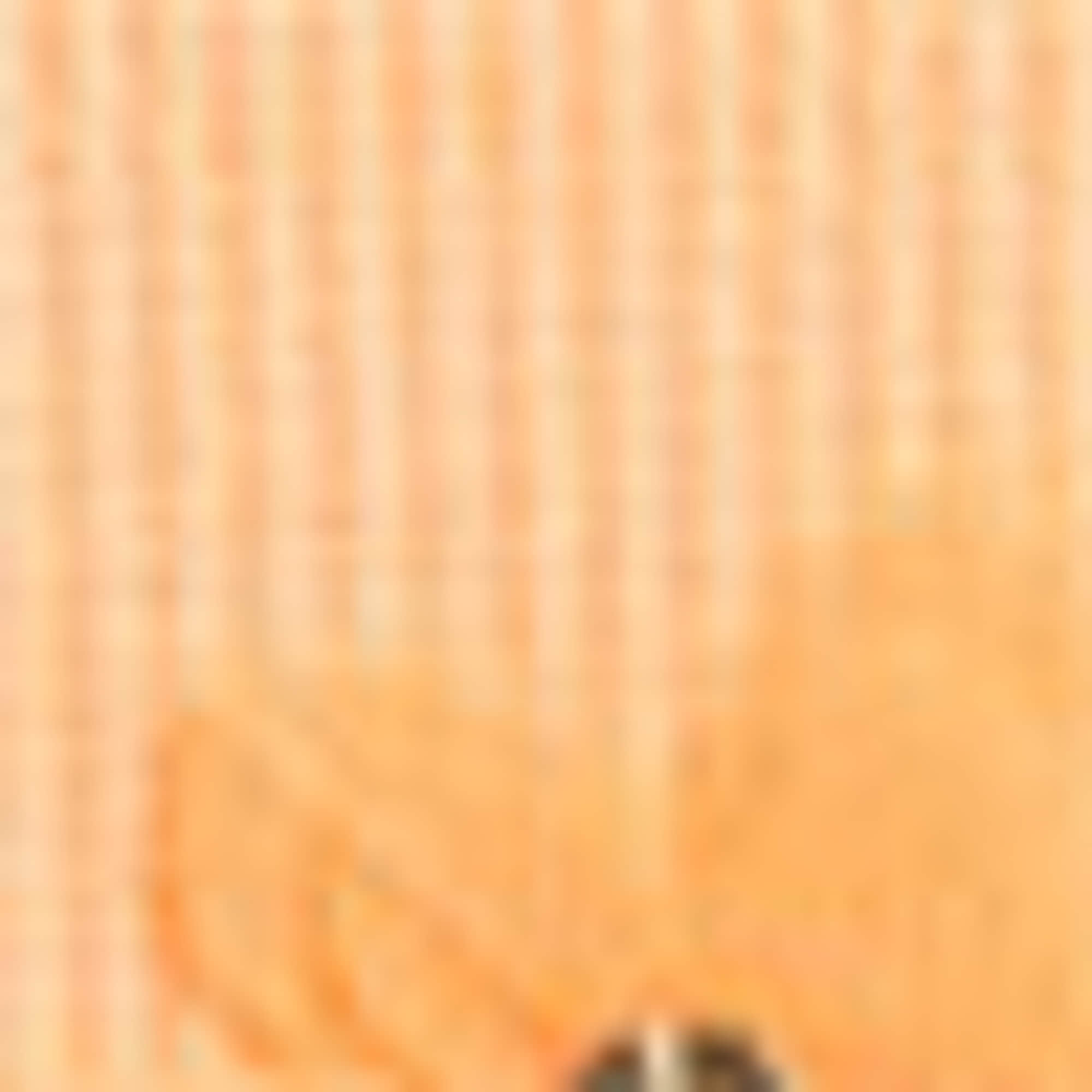 Floral - short sleeve T-shirt - ribbed - shiny orange