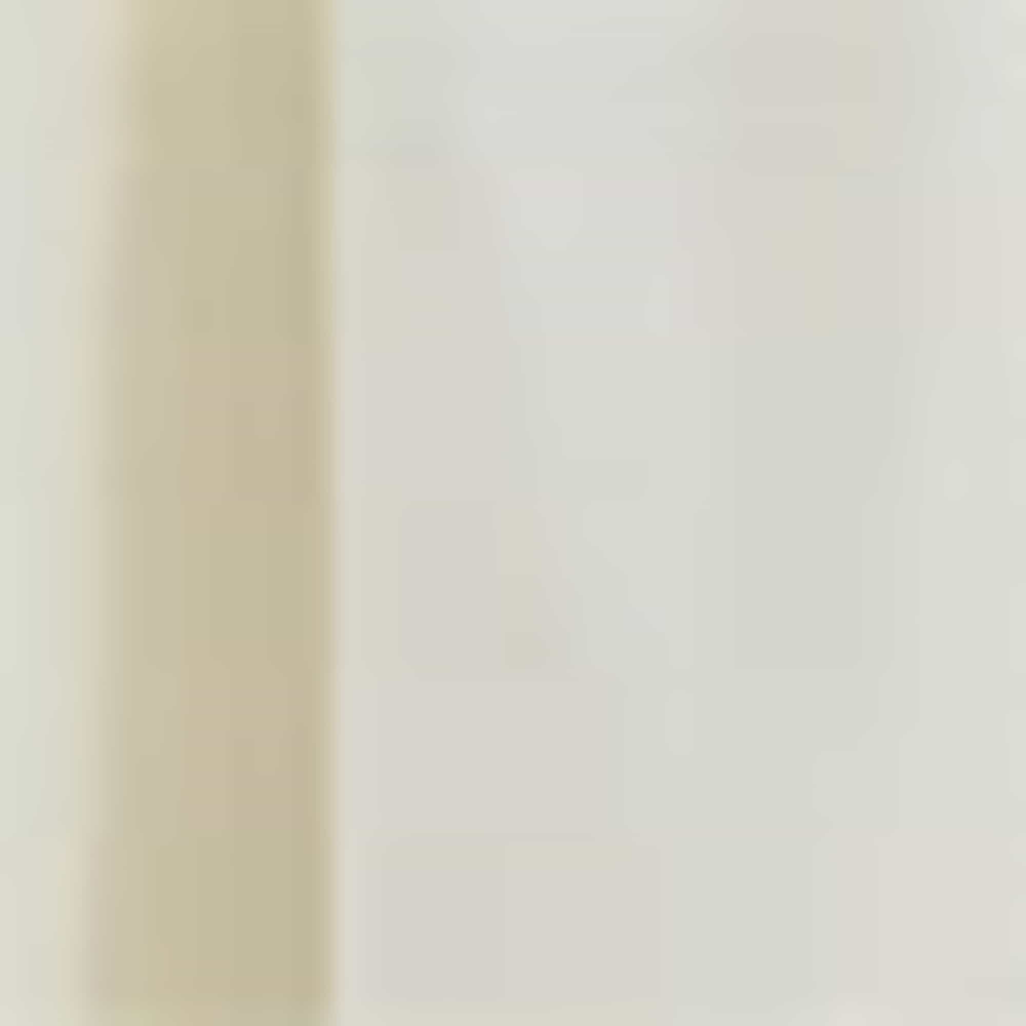 Skirt white