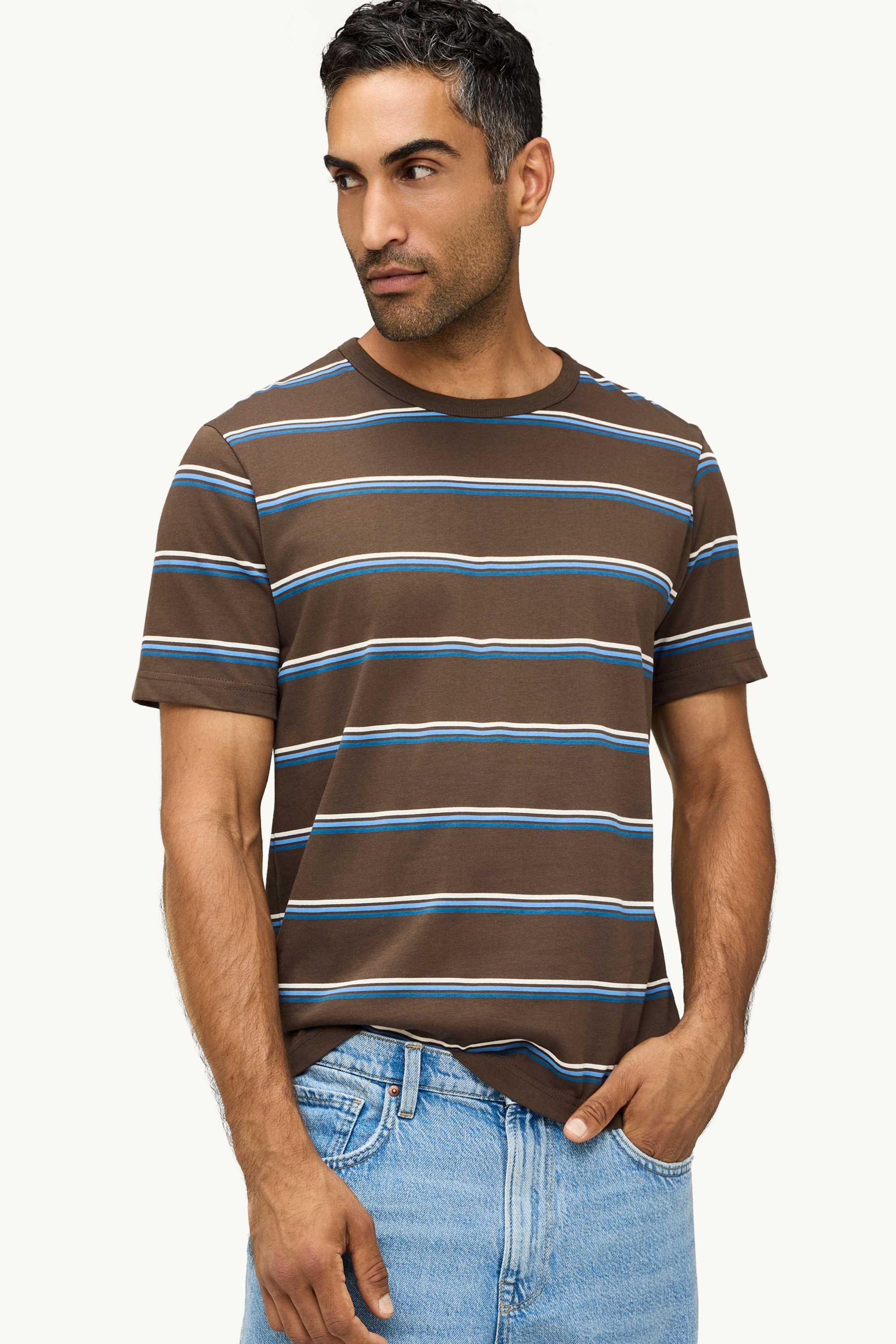 T-shirt - regular fit - striped brown / blue