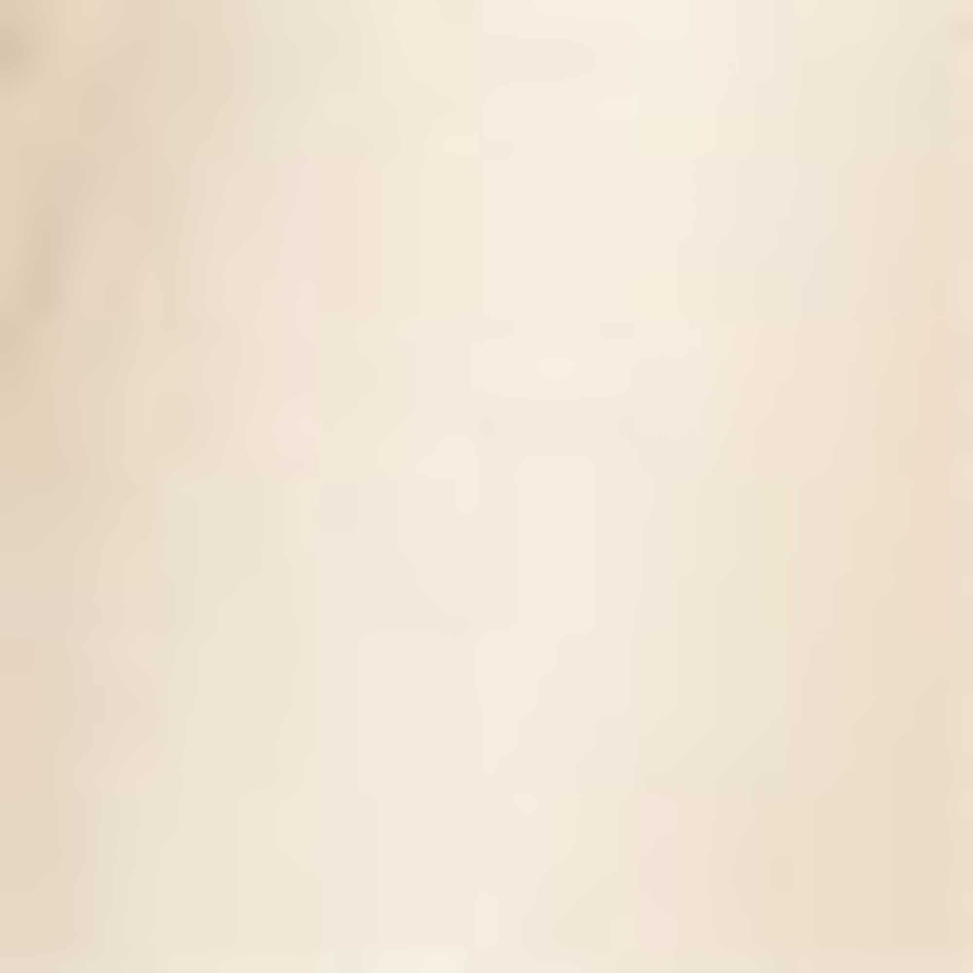 Sweatshirt - 2-in-1 look creme