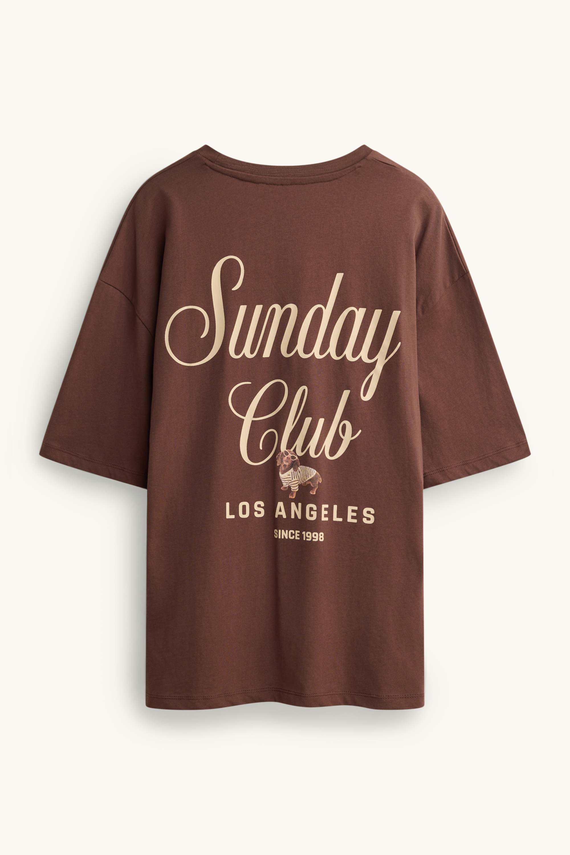 T-shirt - oversized brown