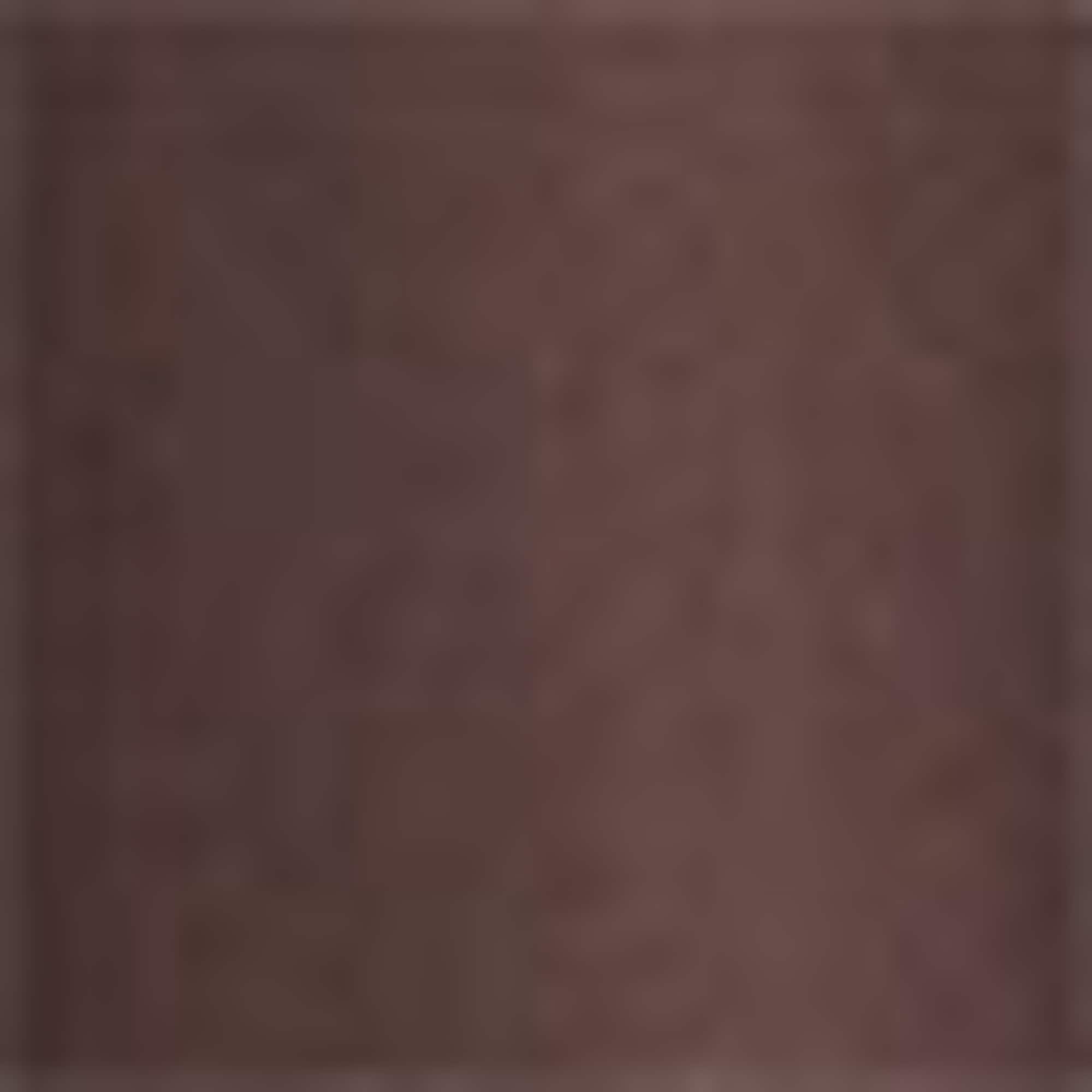 T-shirt - regular fit dark brown