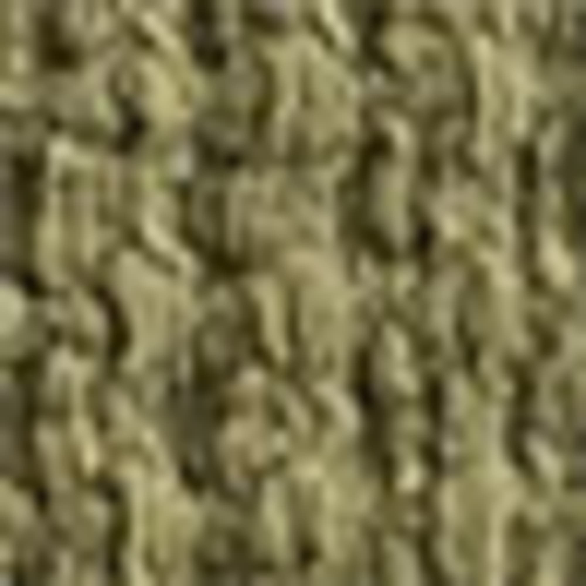 T-shirt - regular fit khaki