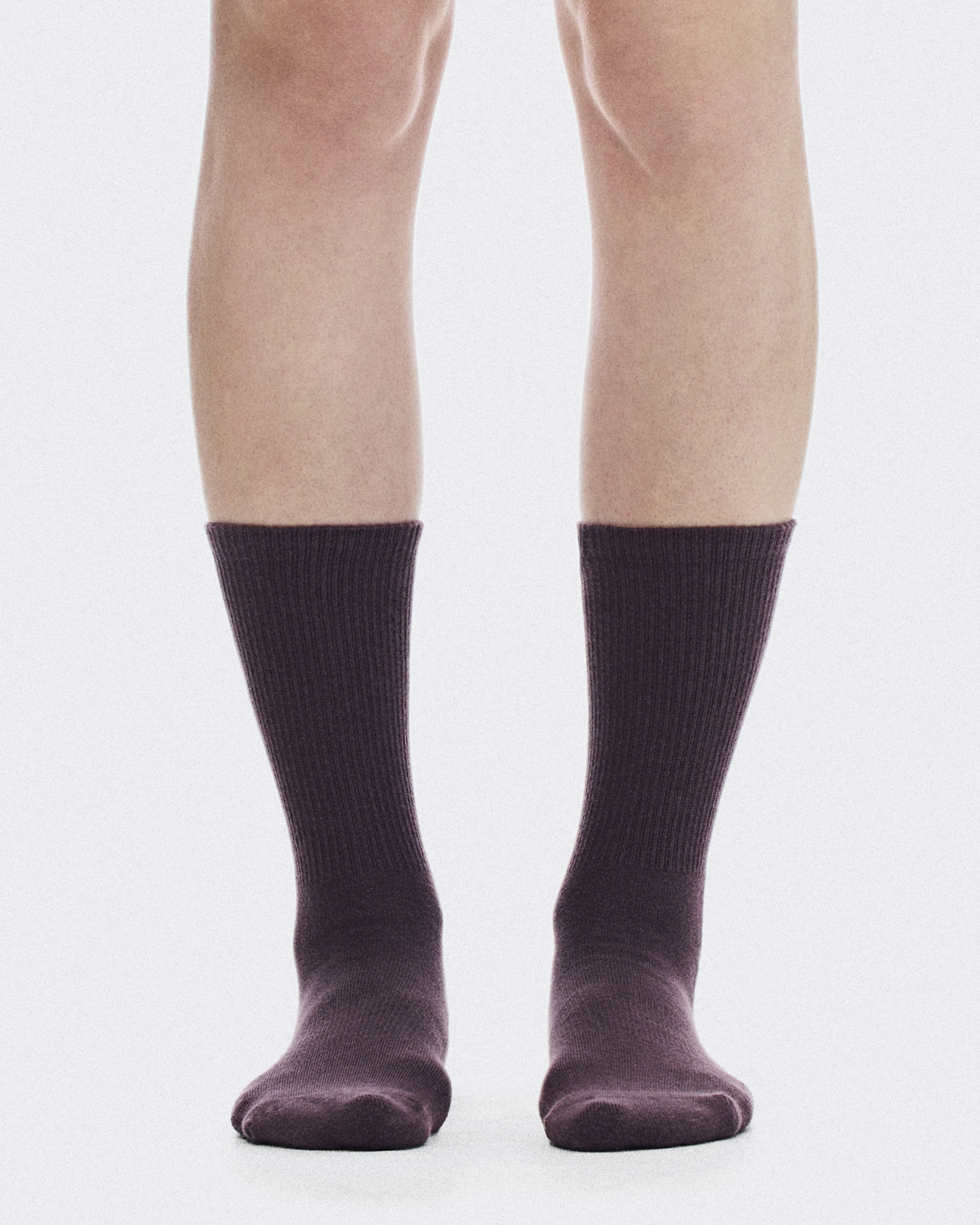 Club Sock High 2P - Urchin