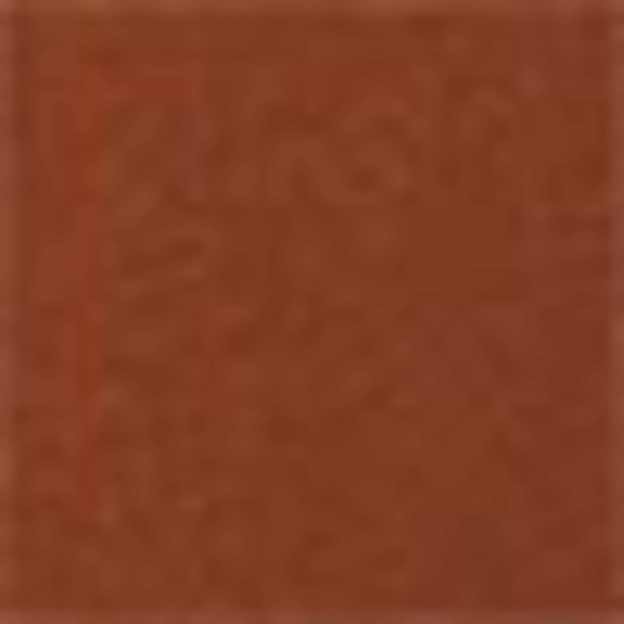 T-shirt - relaxed fit brown