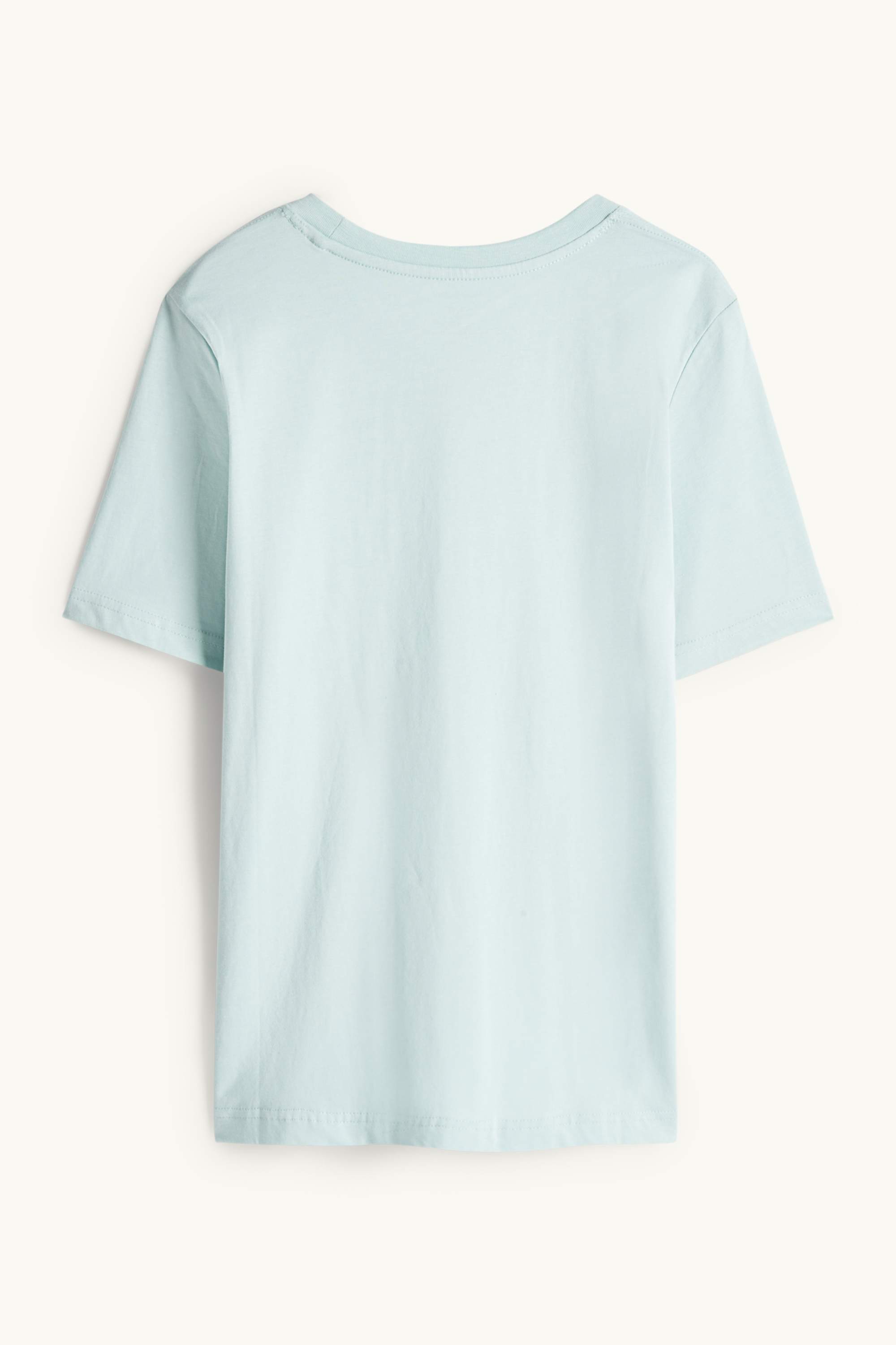 T-shirt - regular fit mint green