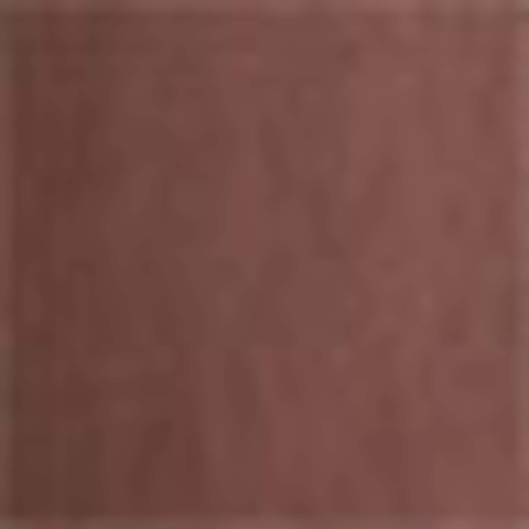 Blouse brown