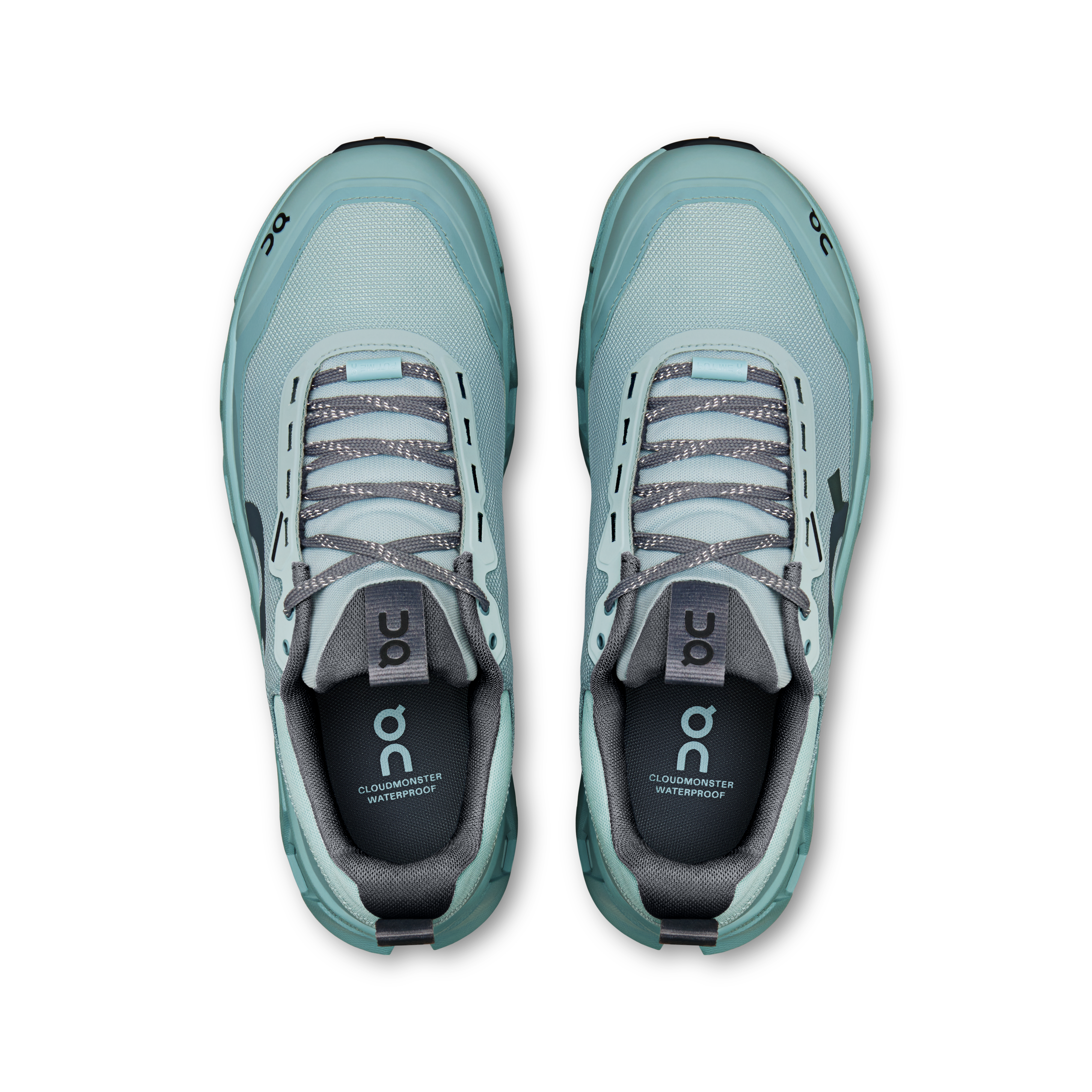 Cloudmonster 1 Waterproof - Brook | Wash