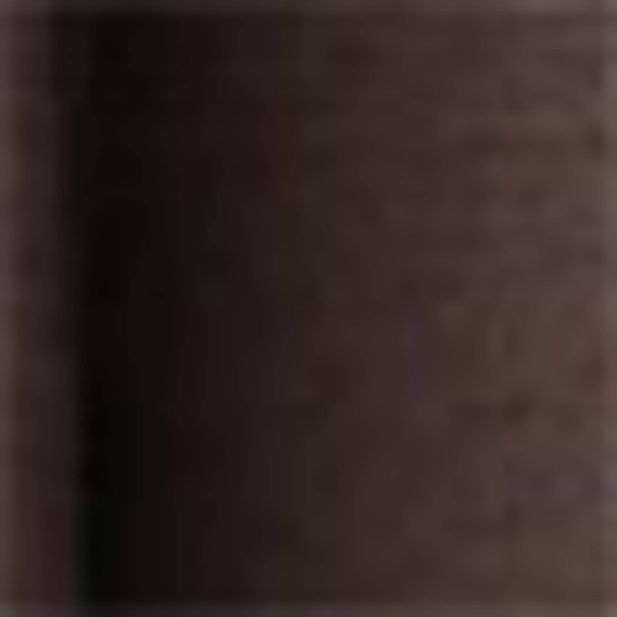 Skirt dark brown