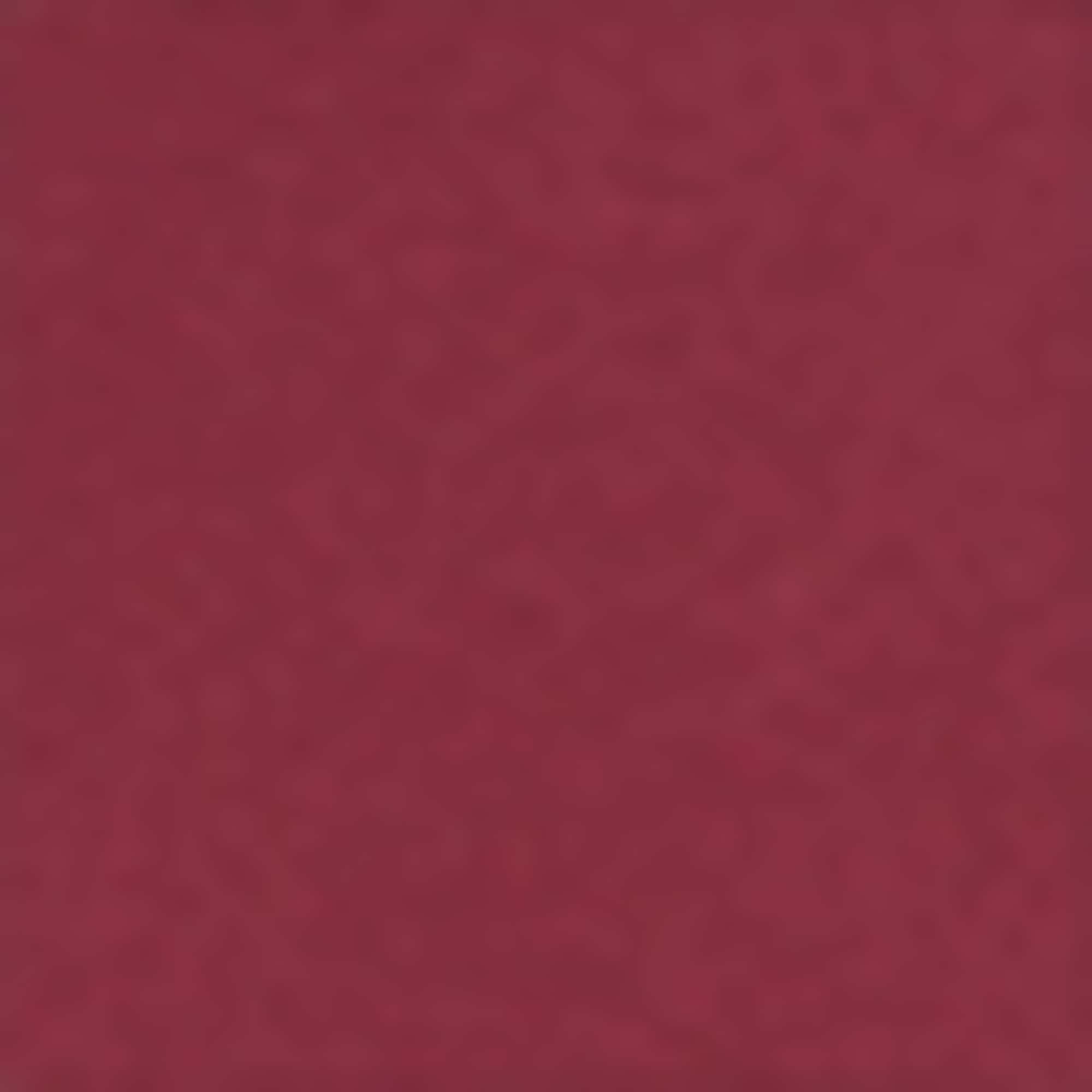 Multipack of 2 - long sleeve top bordeaux / black