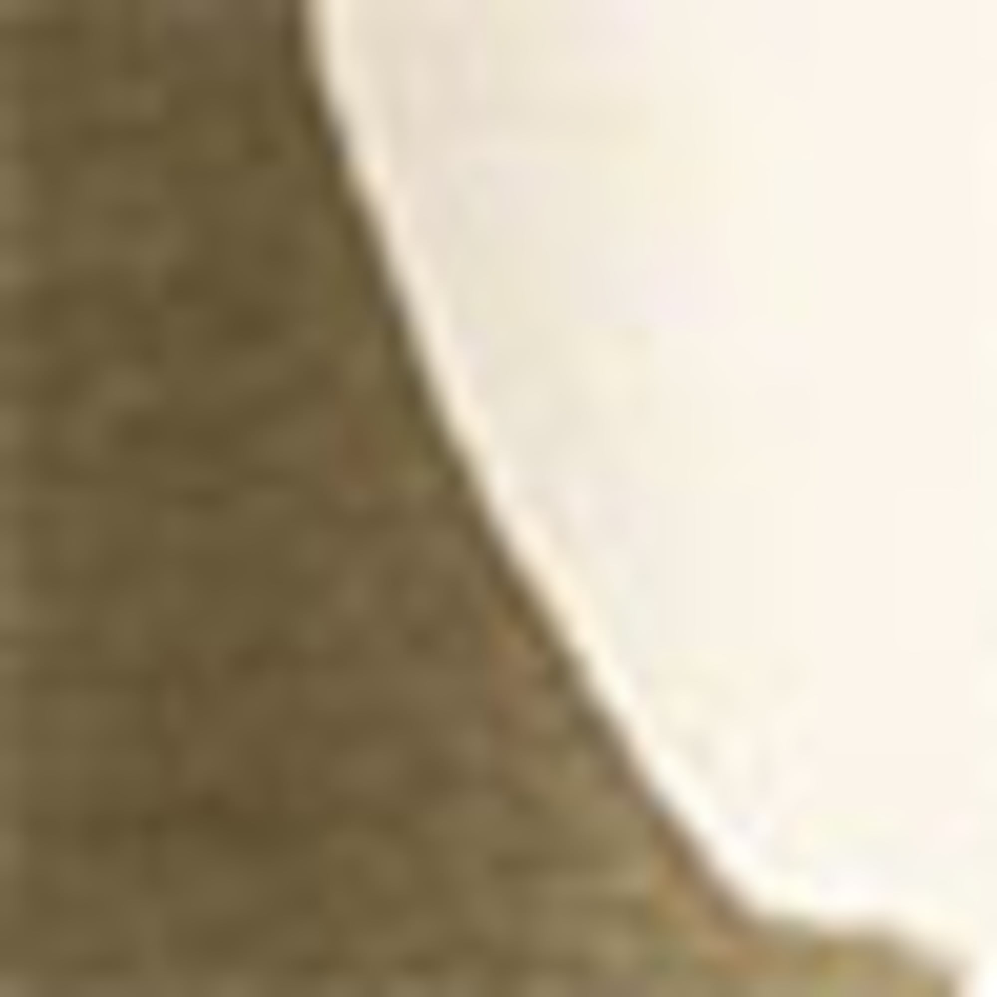 T-shirt - regular fit khaki